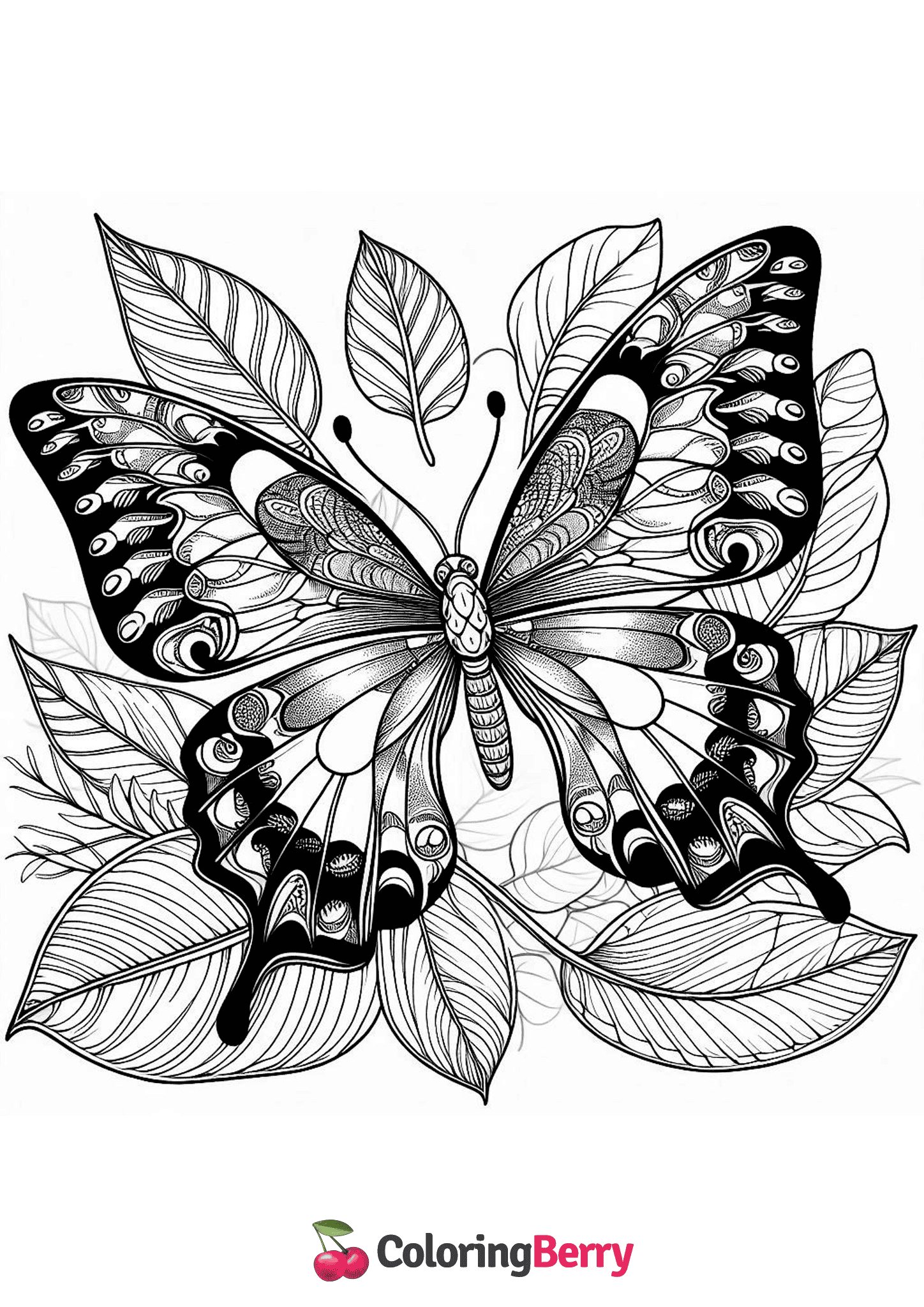 Difficult Butterfly