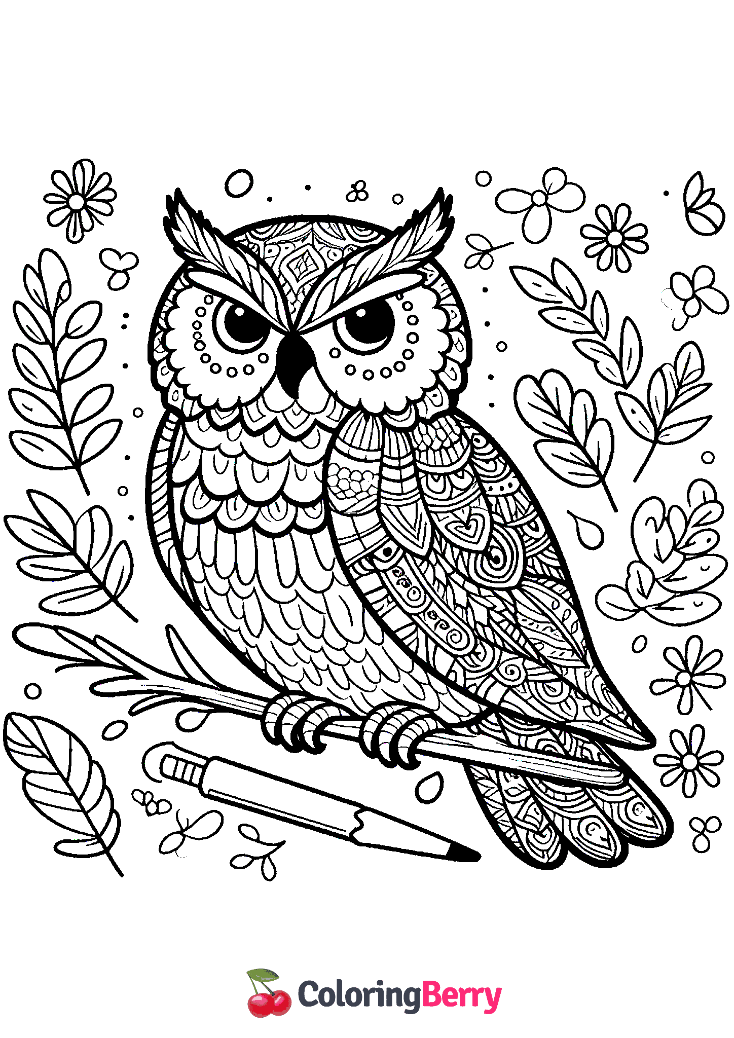 Difficult Owl