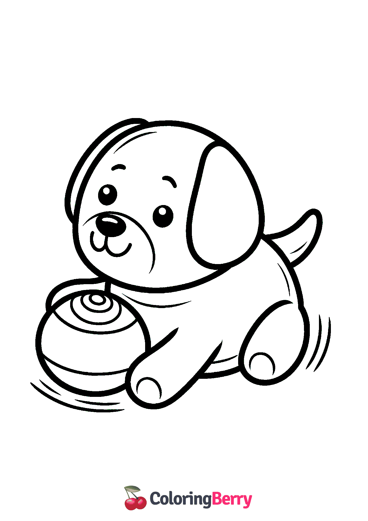 Dog Toy