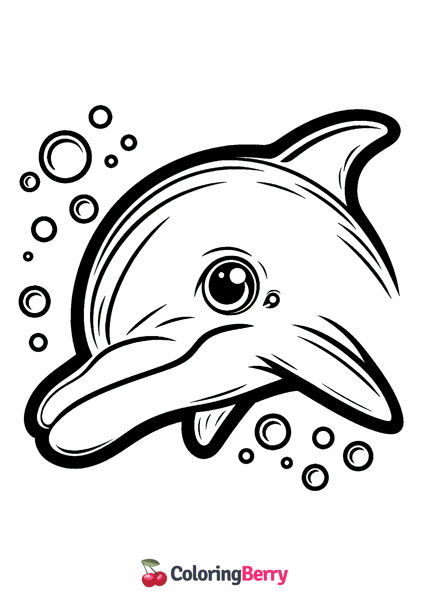 Dolphin Face