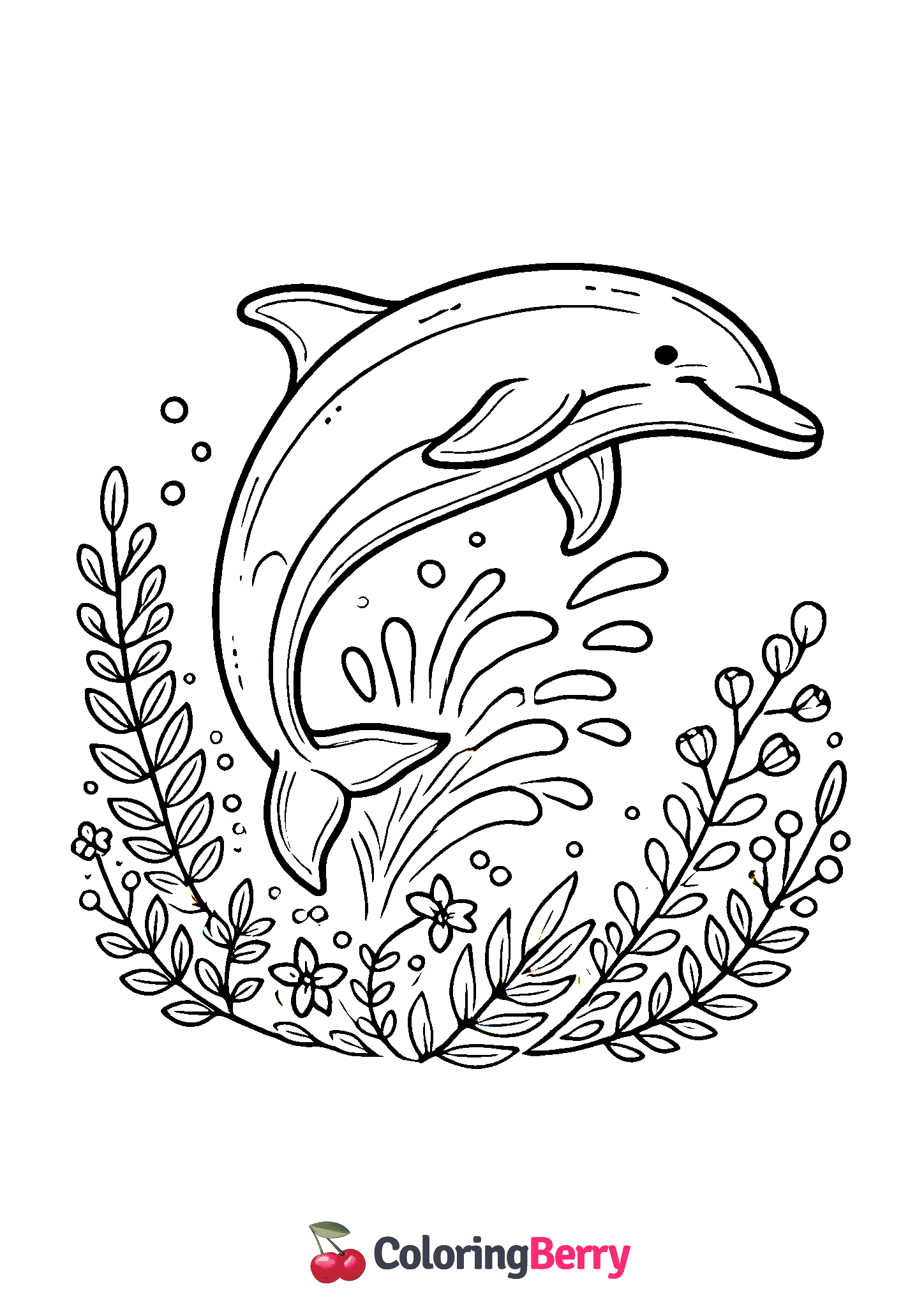 Dolphin Jump
