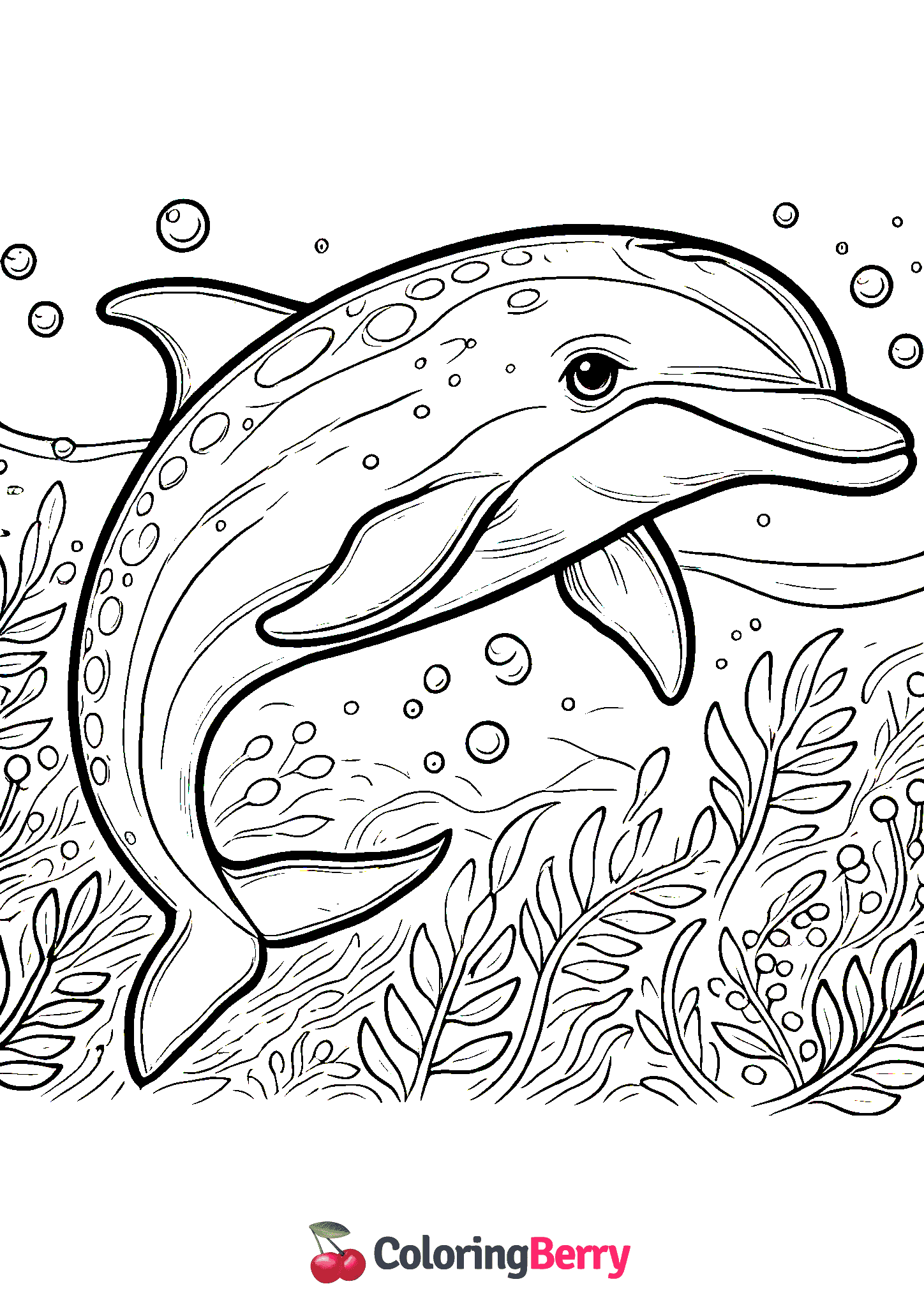 Dolphin Tale