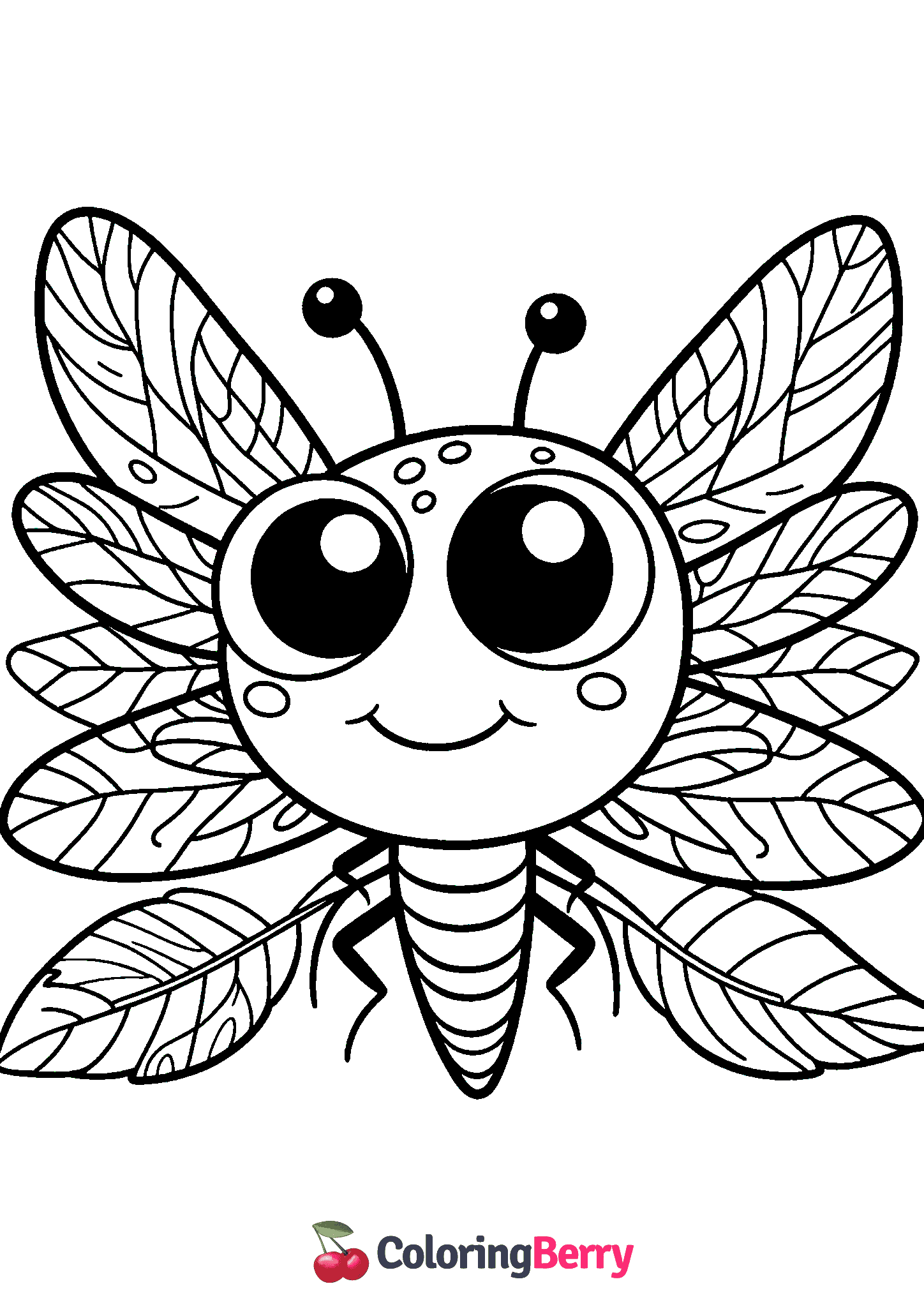 Dragonfly Face
