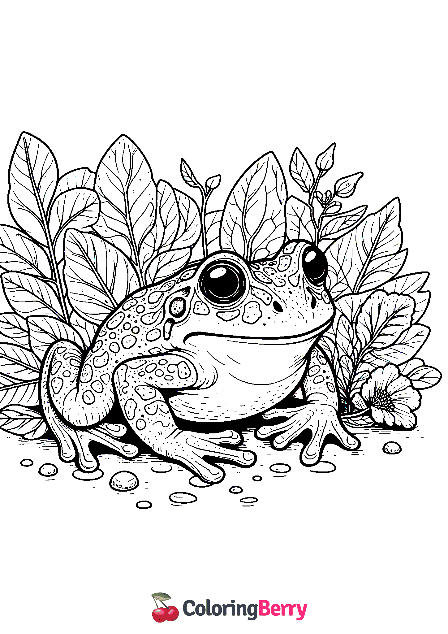 Edible Frog