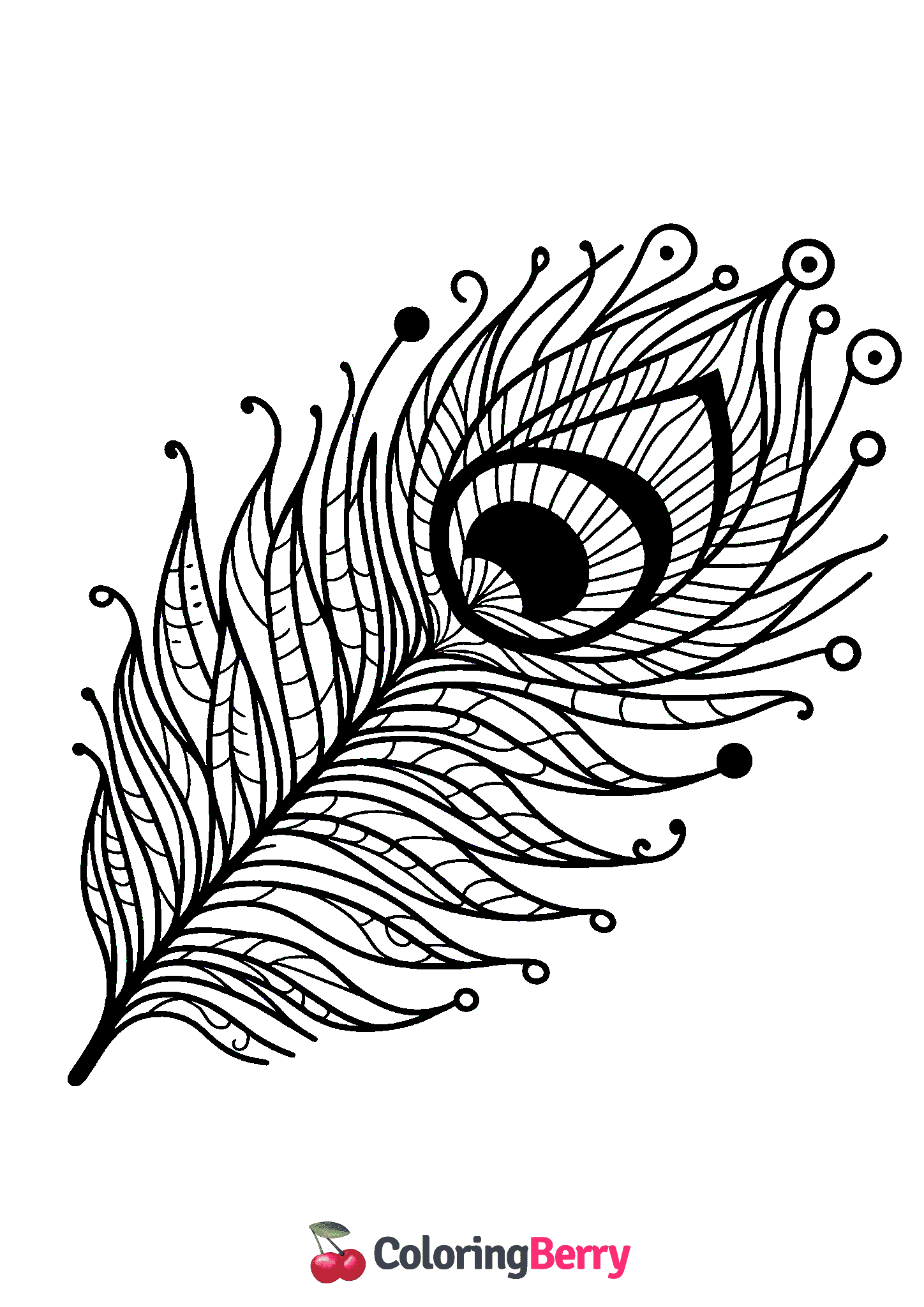 Feather Peacock