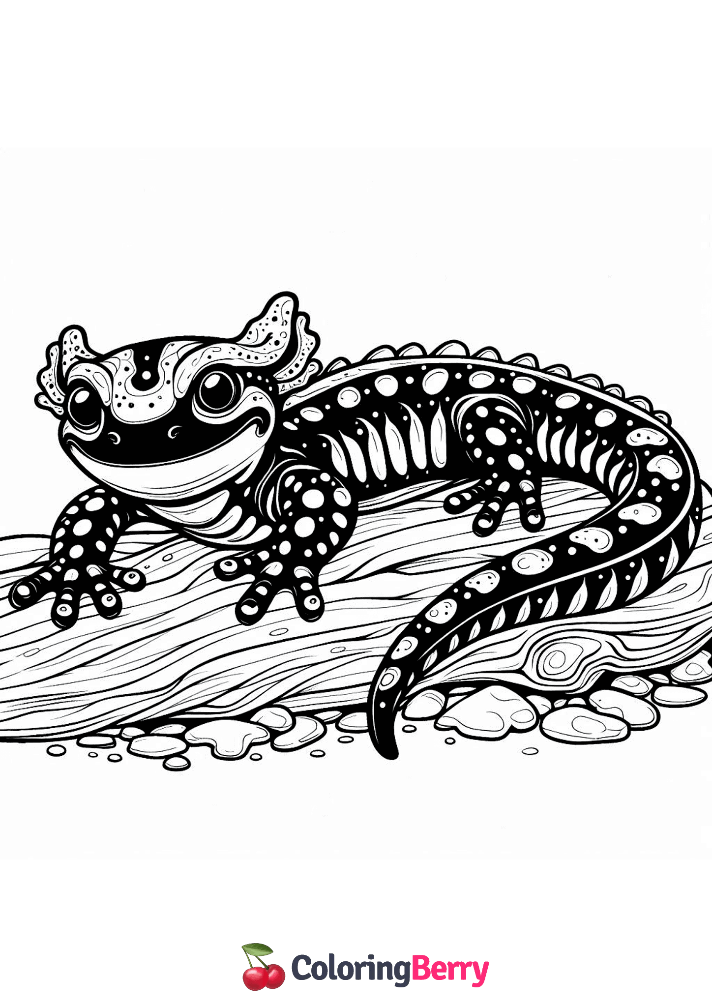 Fire Salamander
