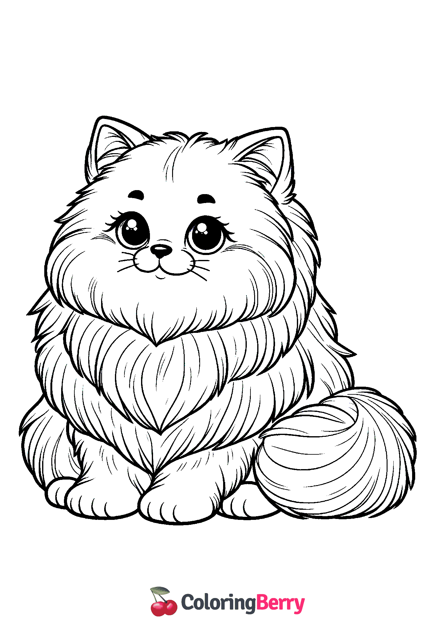 Fluffy Cat