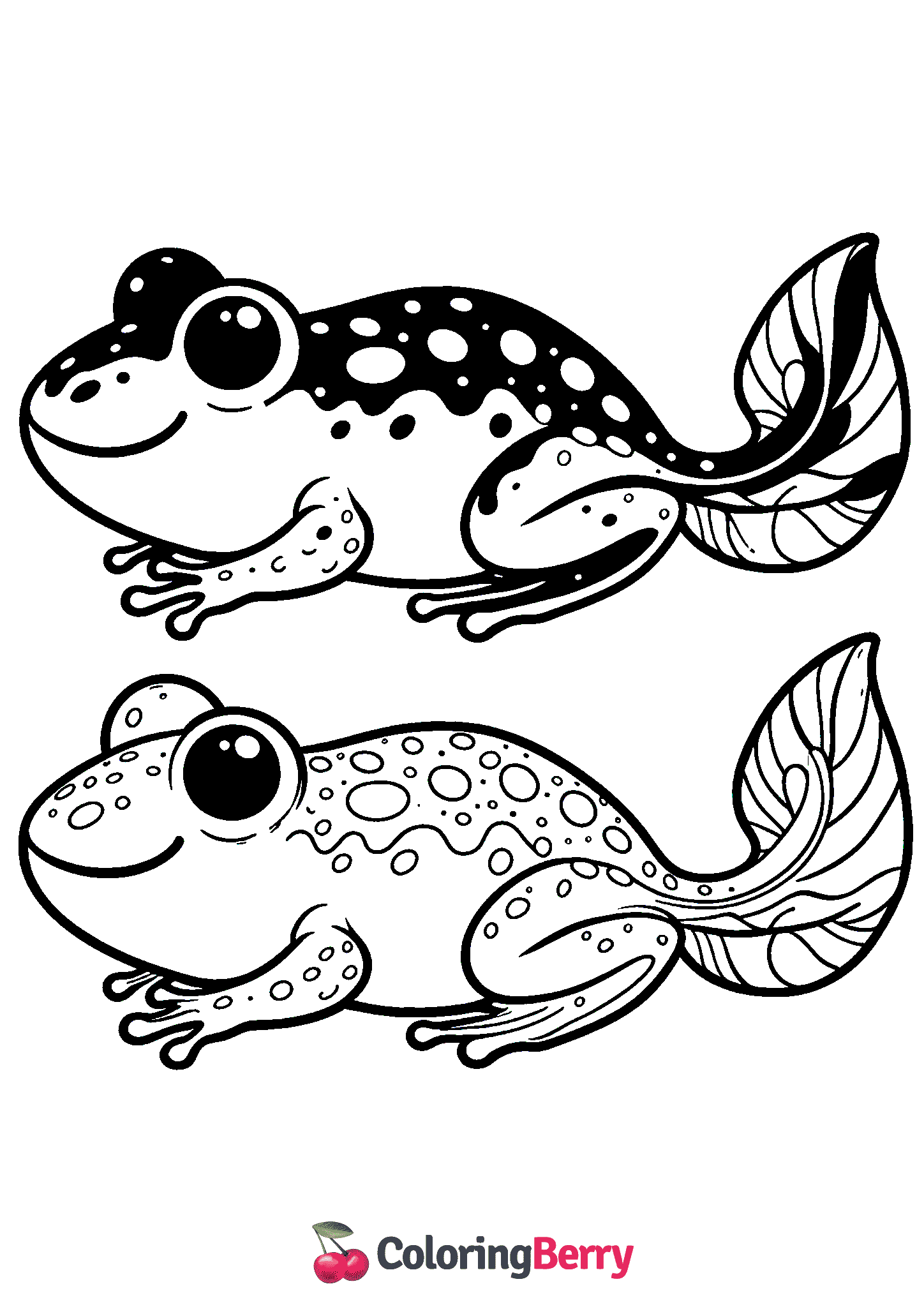 Frog Tadpole