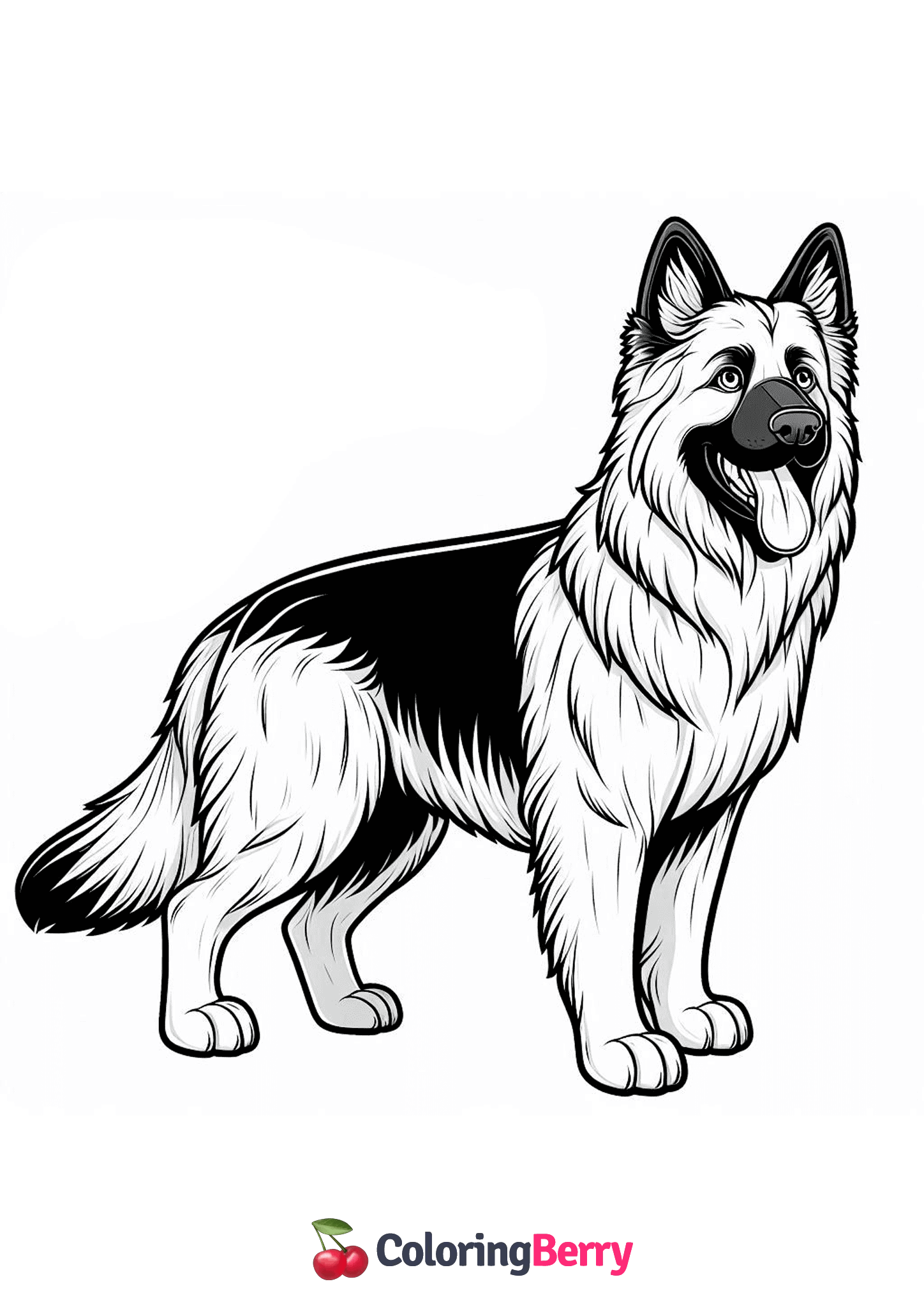 German Shepherd Dog