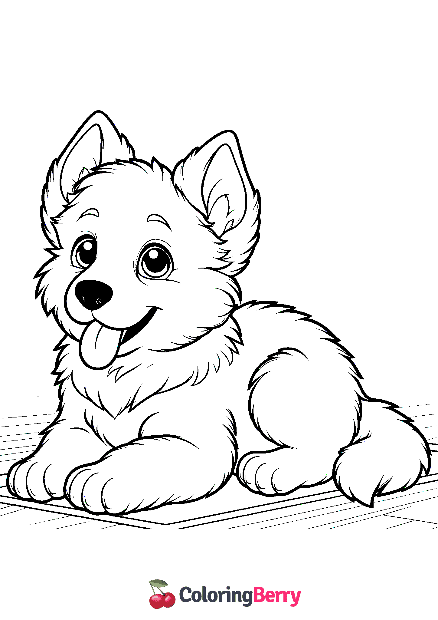 German Shepherd Puppy