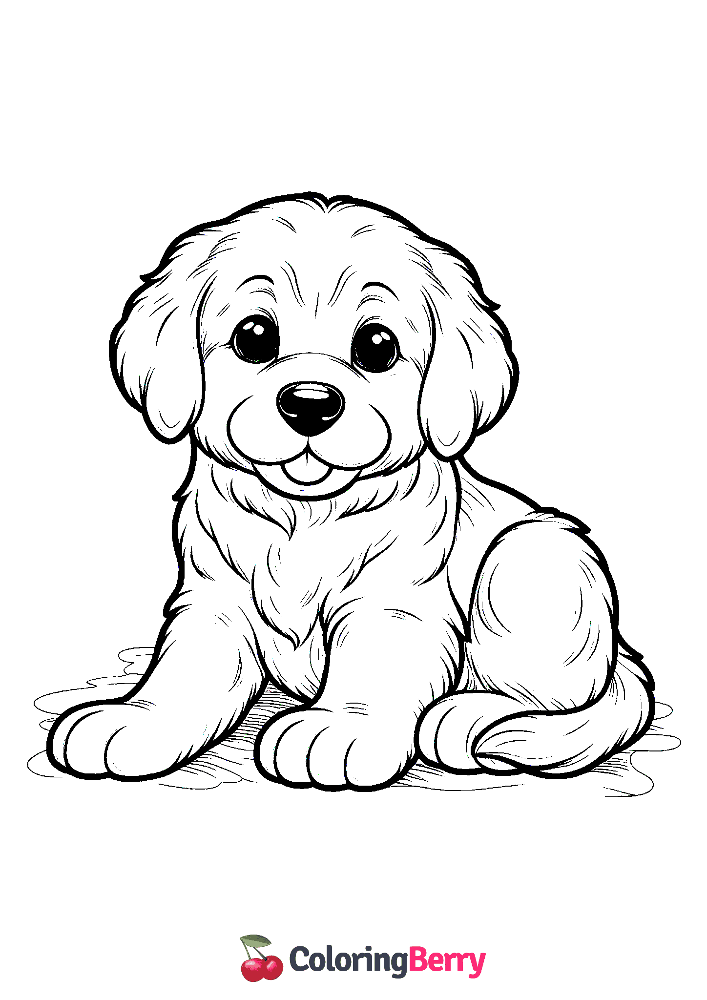Golden Retriever Puppy