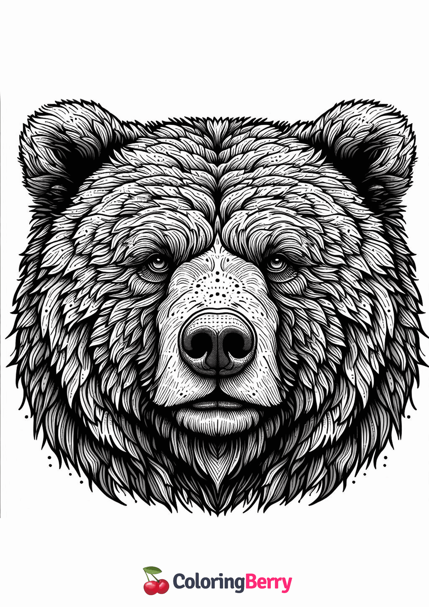Grizzly Bear Face