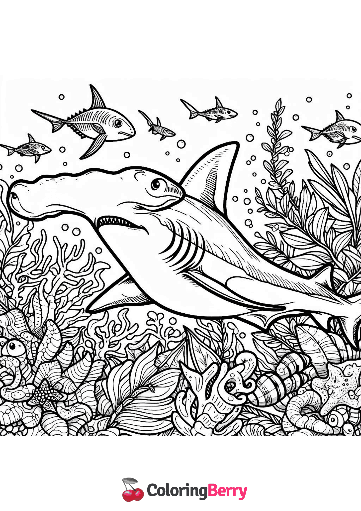 Hammerhead Shark