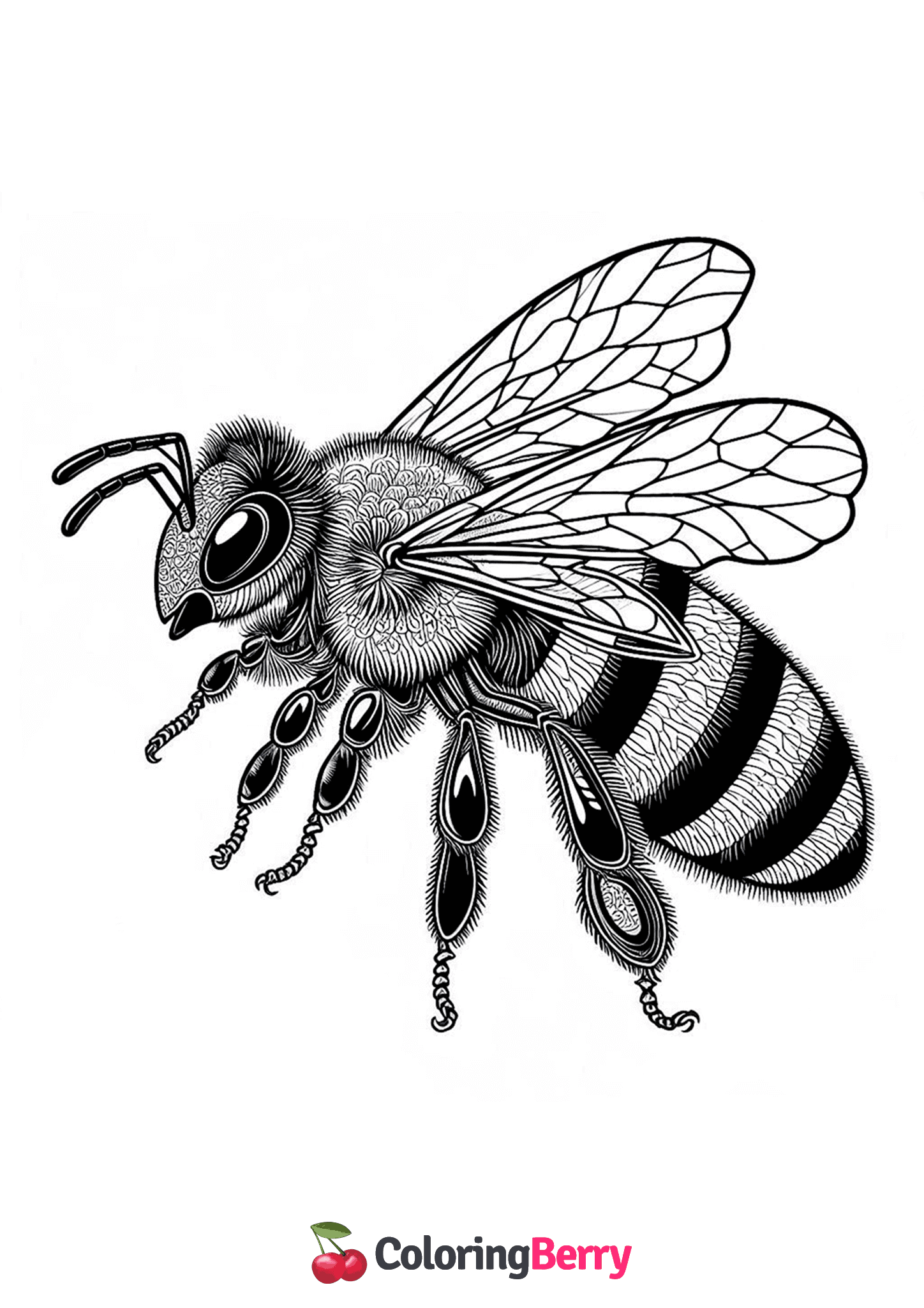 Hard Bee