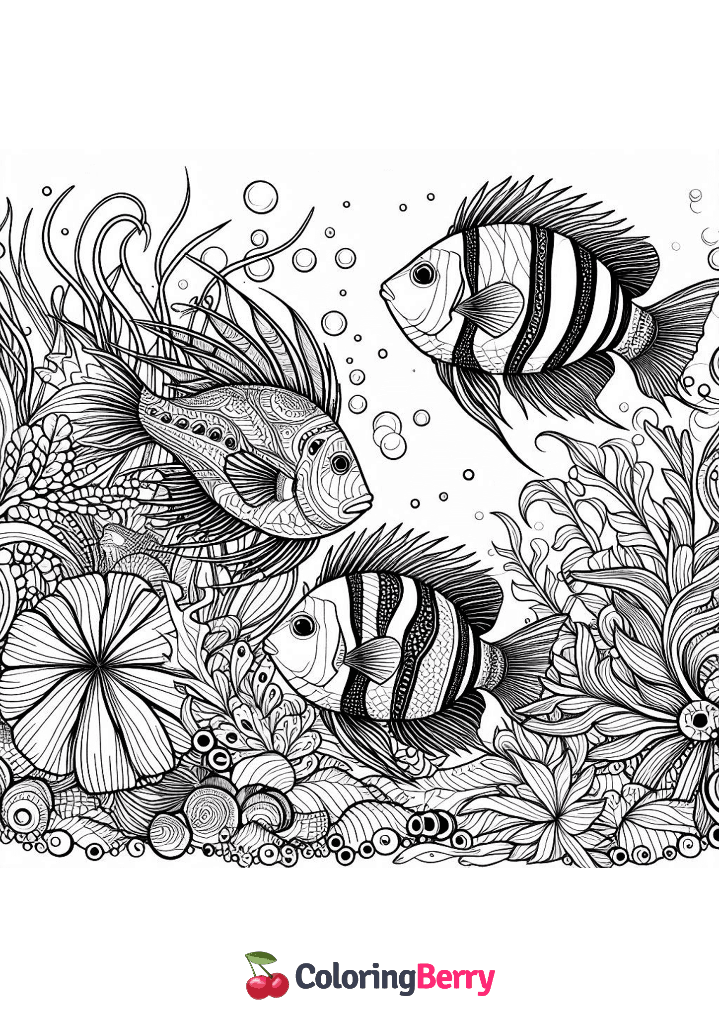Hard Fish