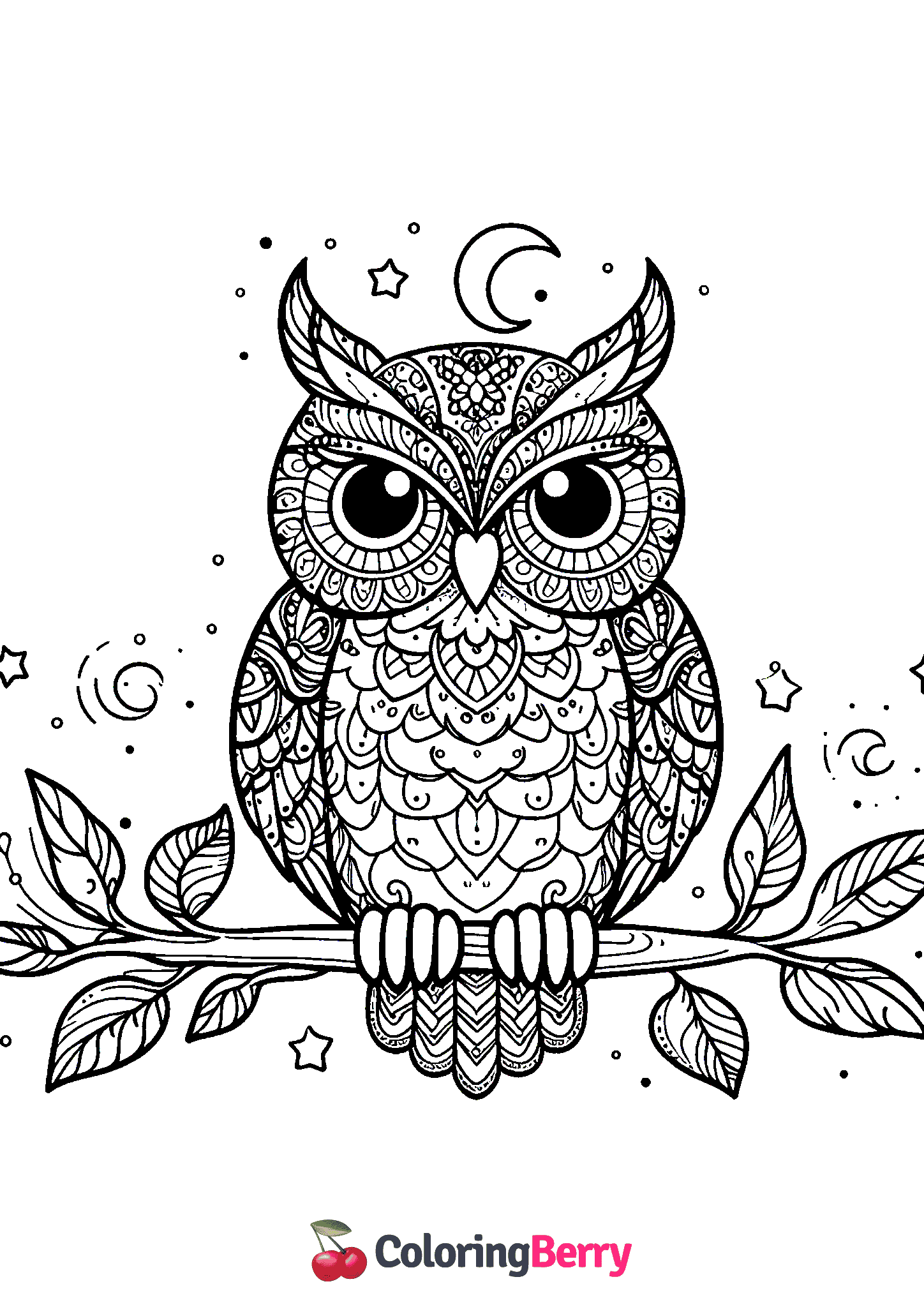 Hard Owl