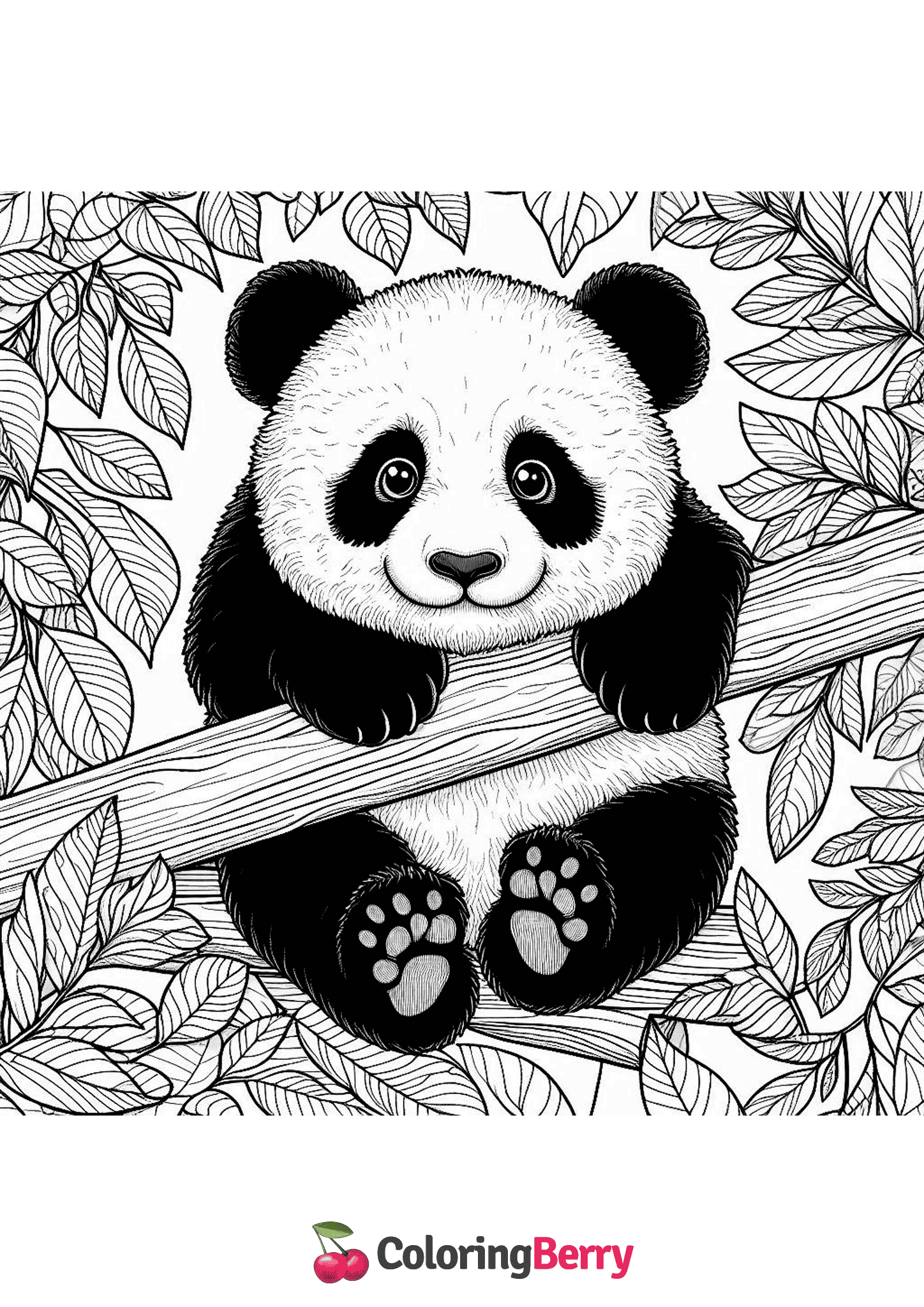 Hard Panda