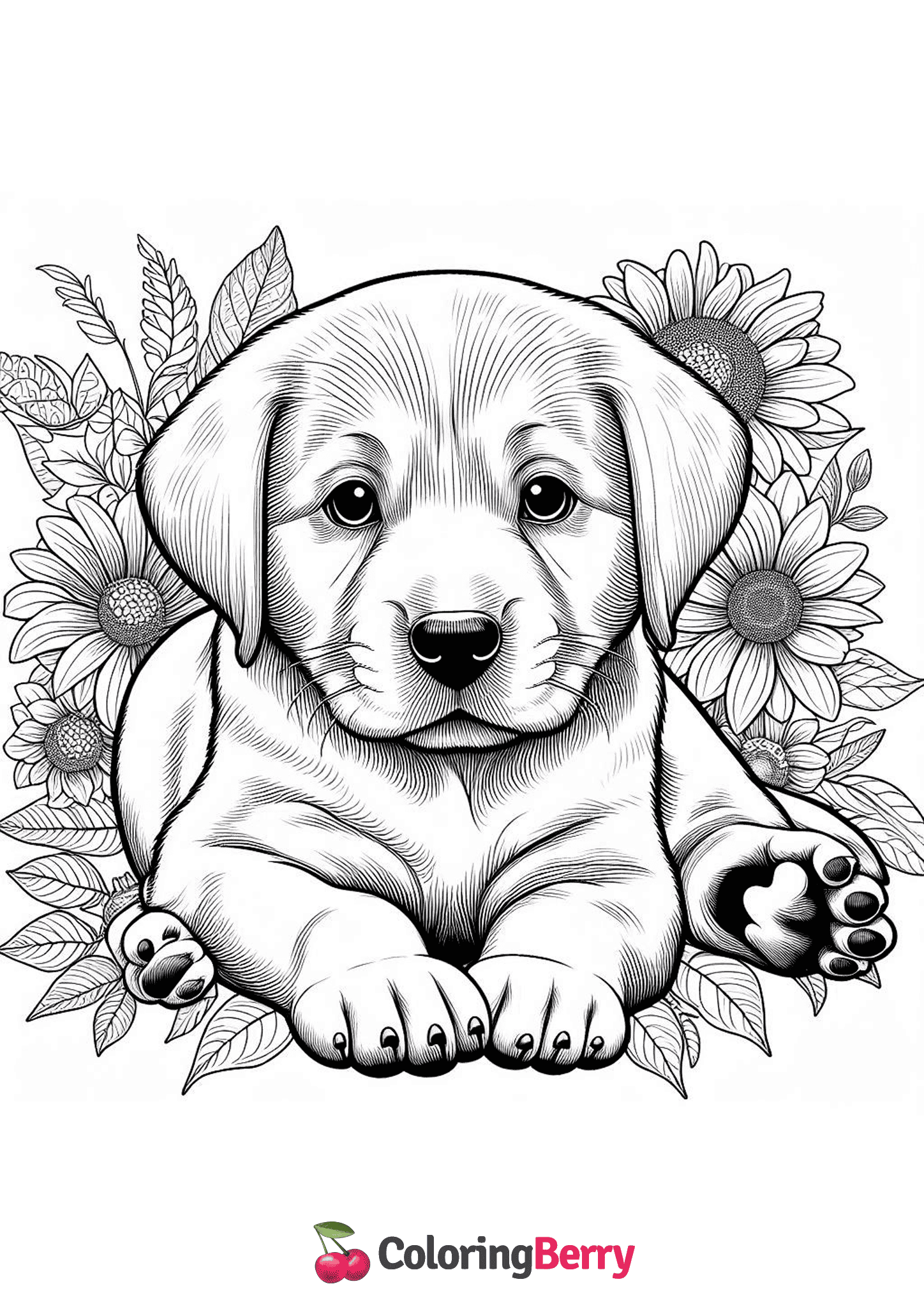 Hard Puppy
