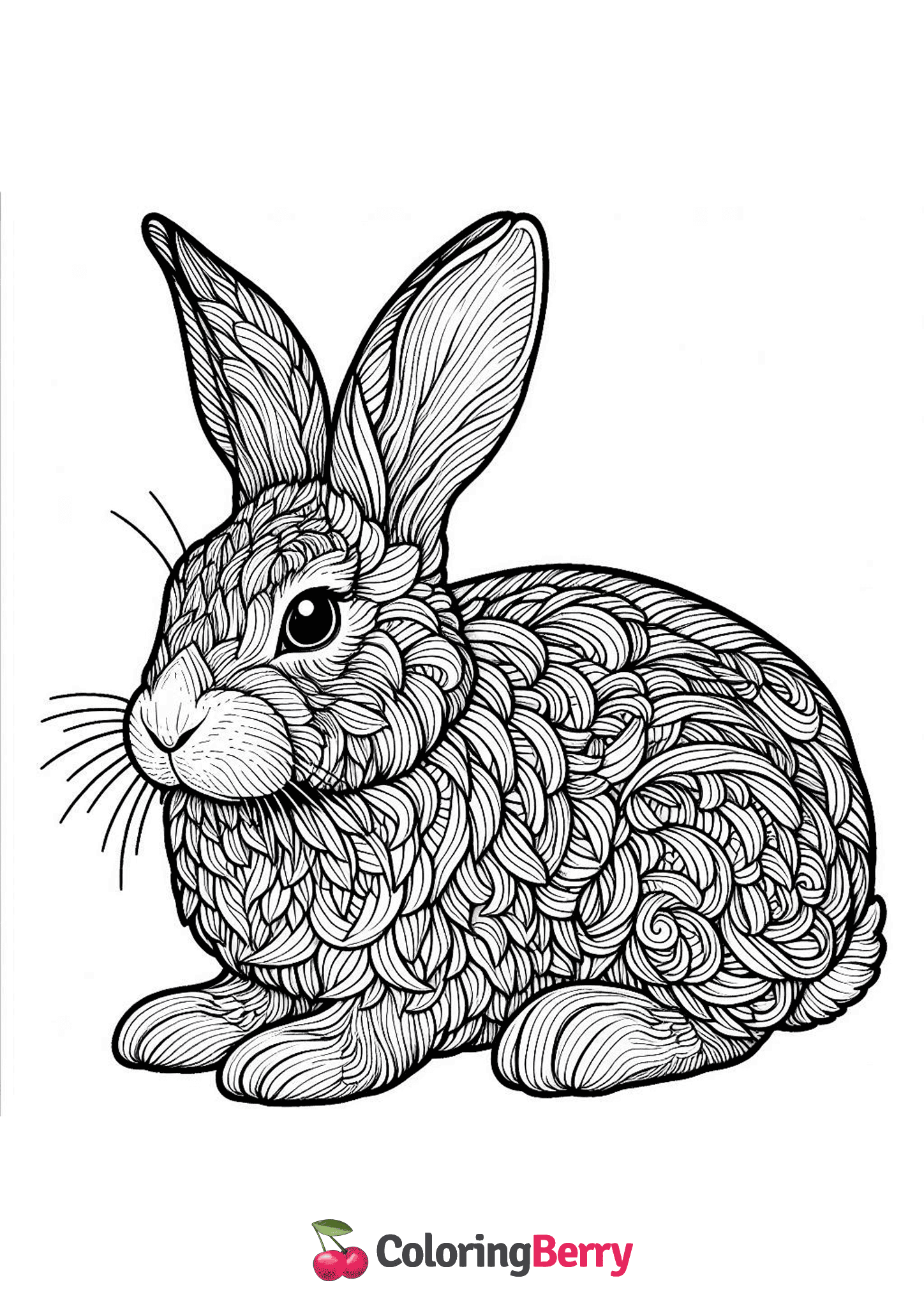 Hard Rabbit