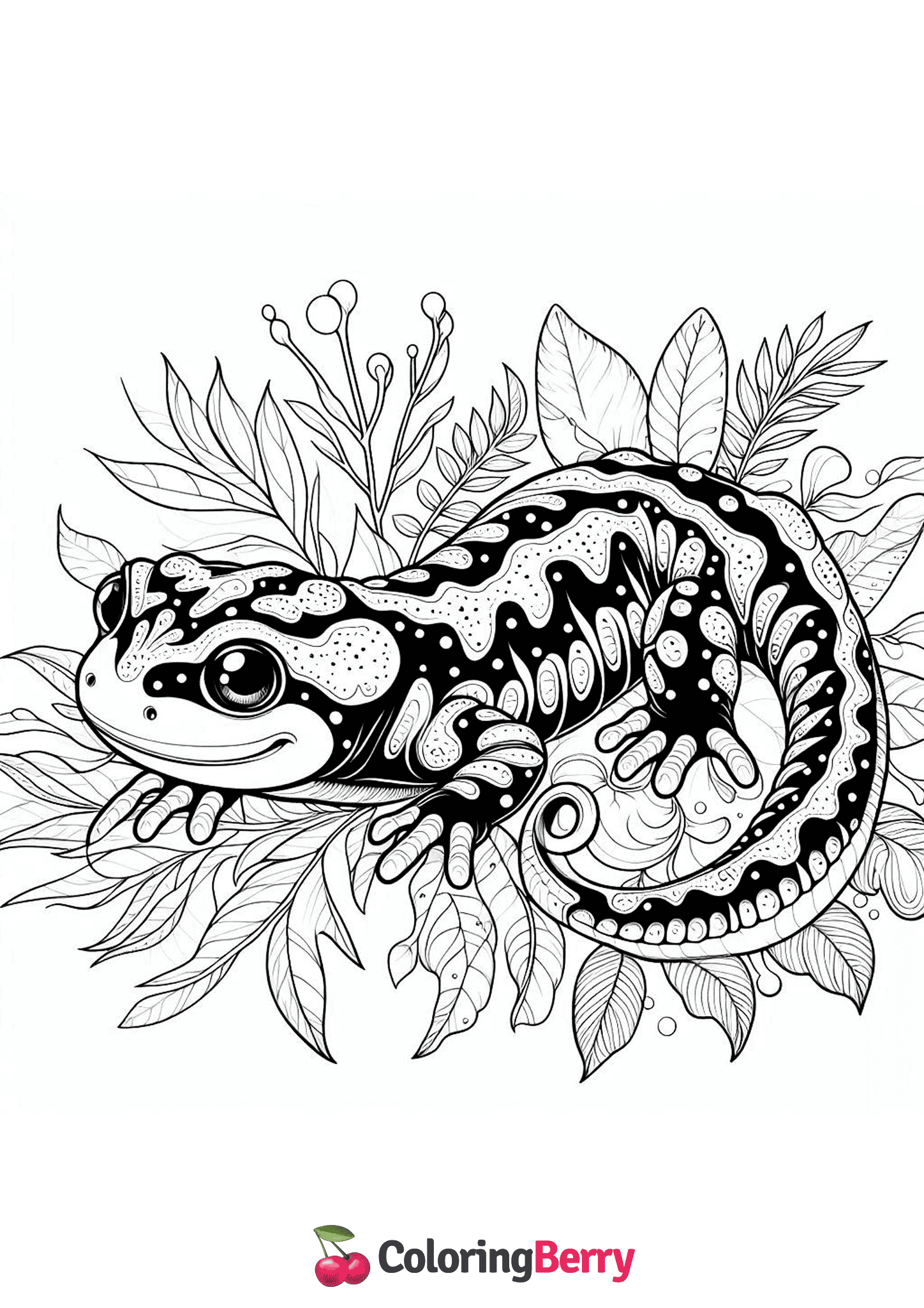 Hard Salamander