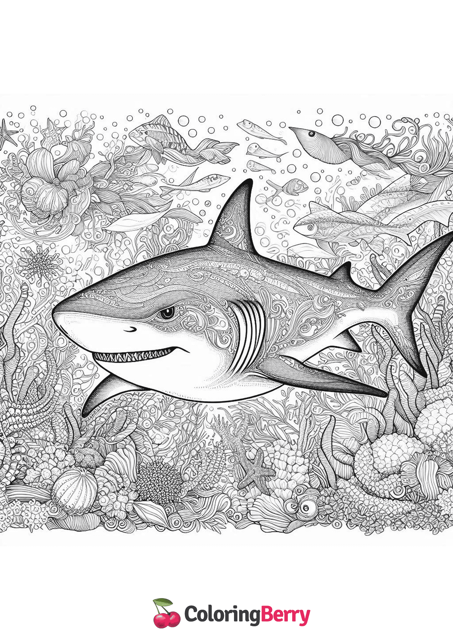 Hard Shark