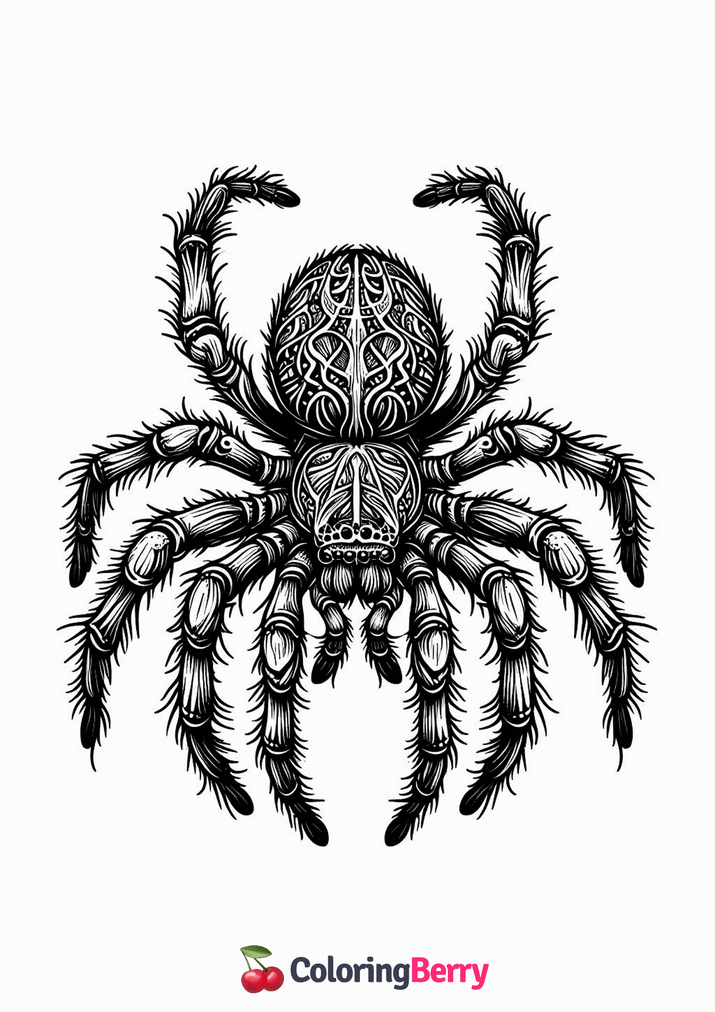 Hard Spider