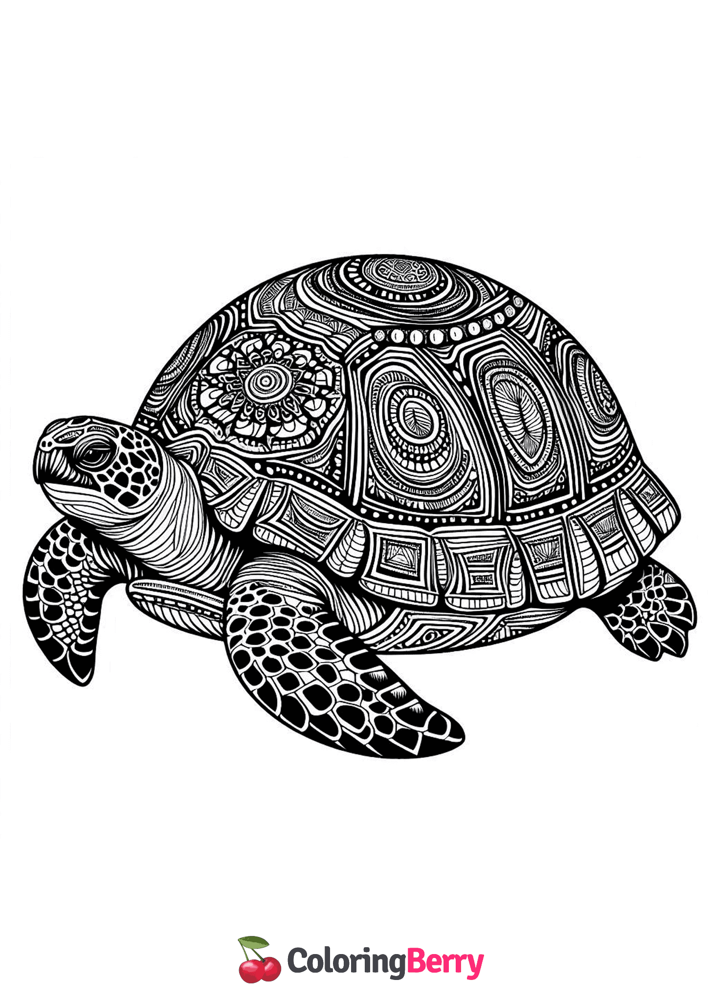 Hard Turtle