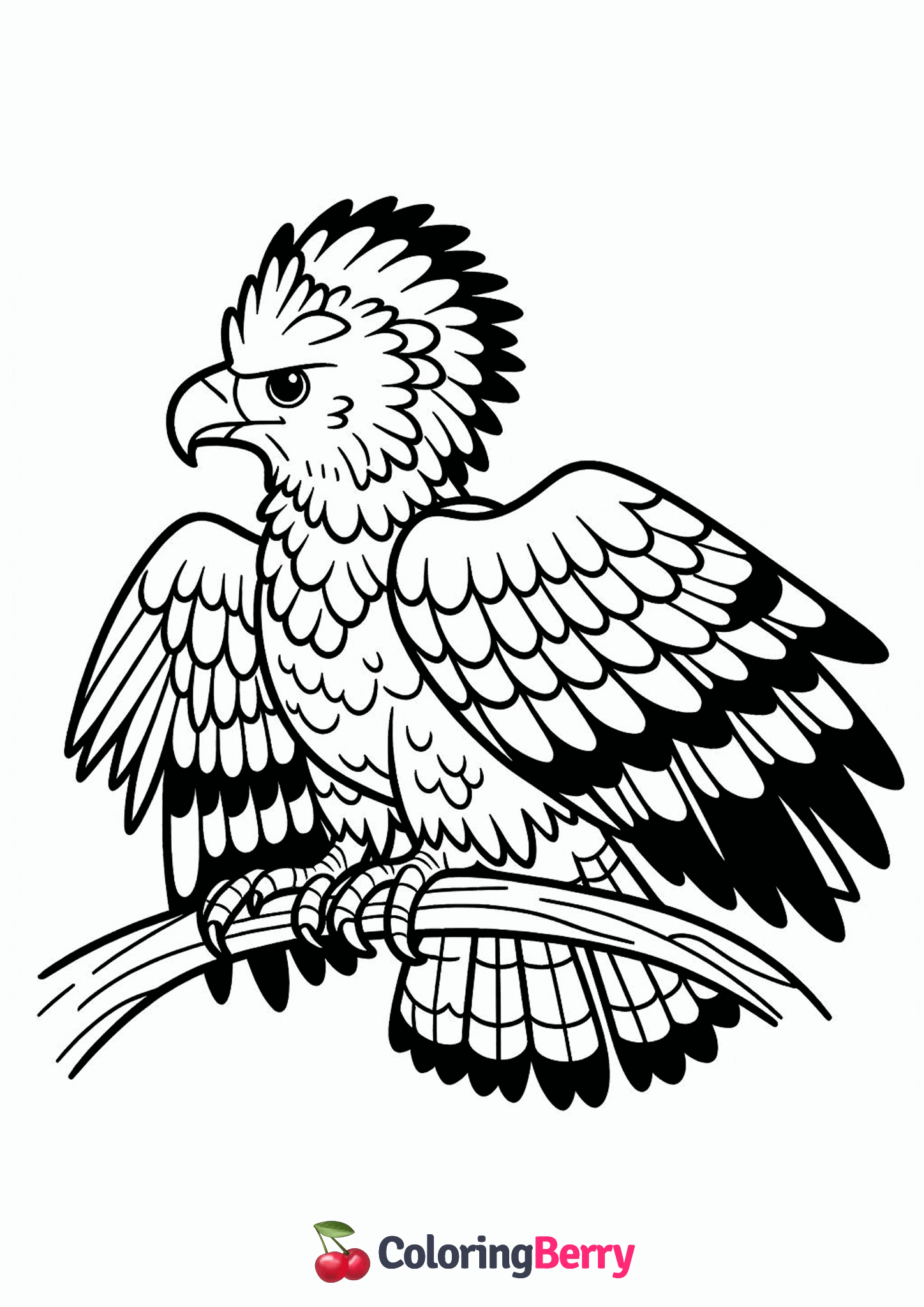 Harpy Eagle