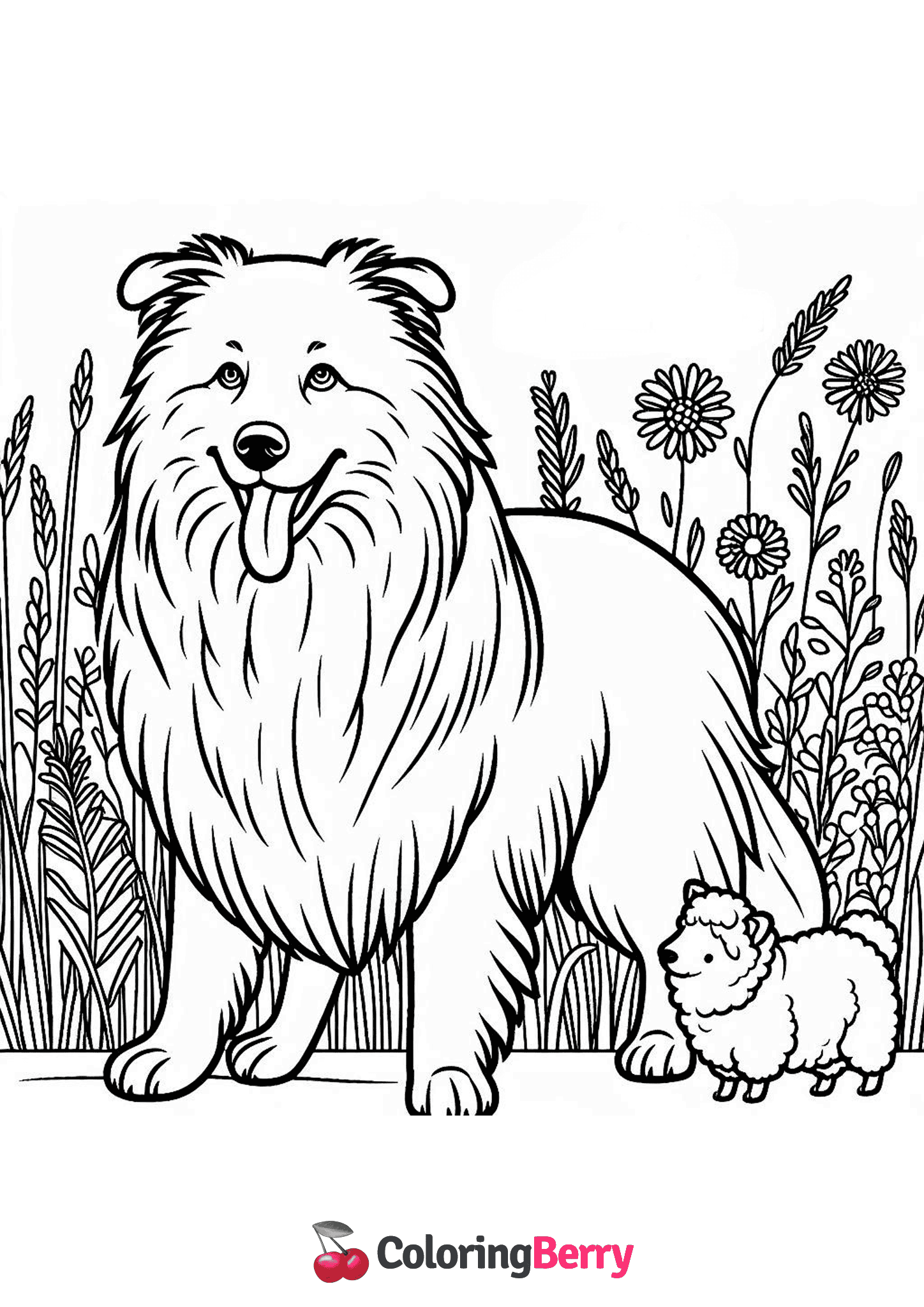 Herding Dog