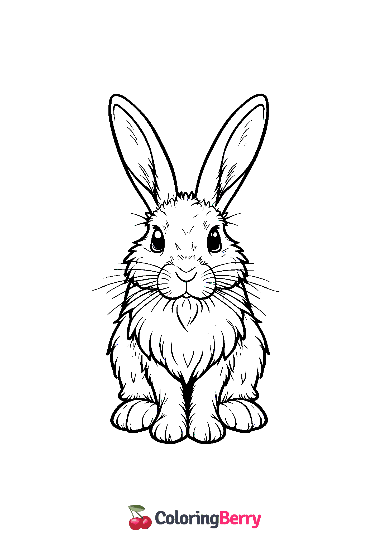 Hispid Hare