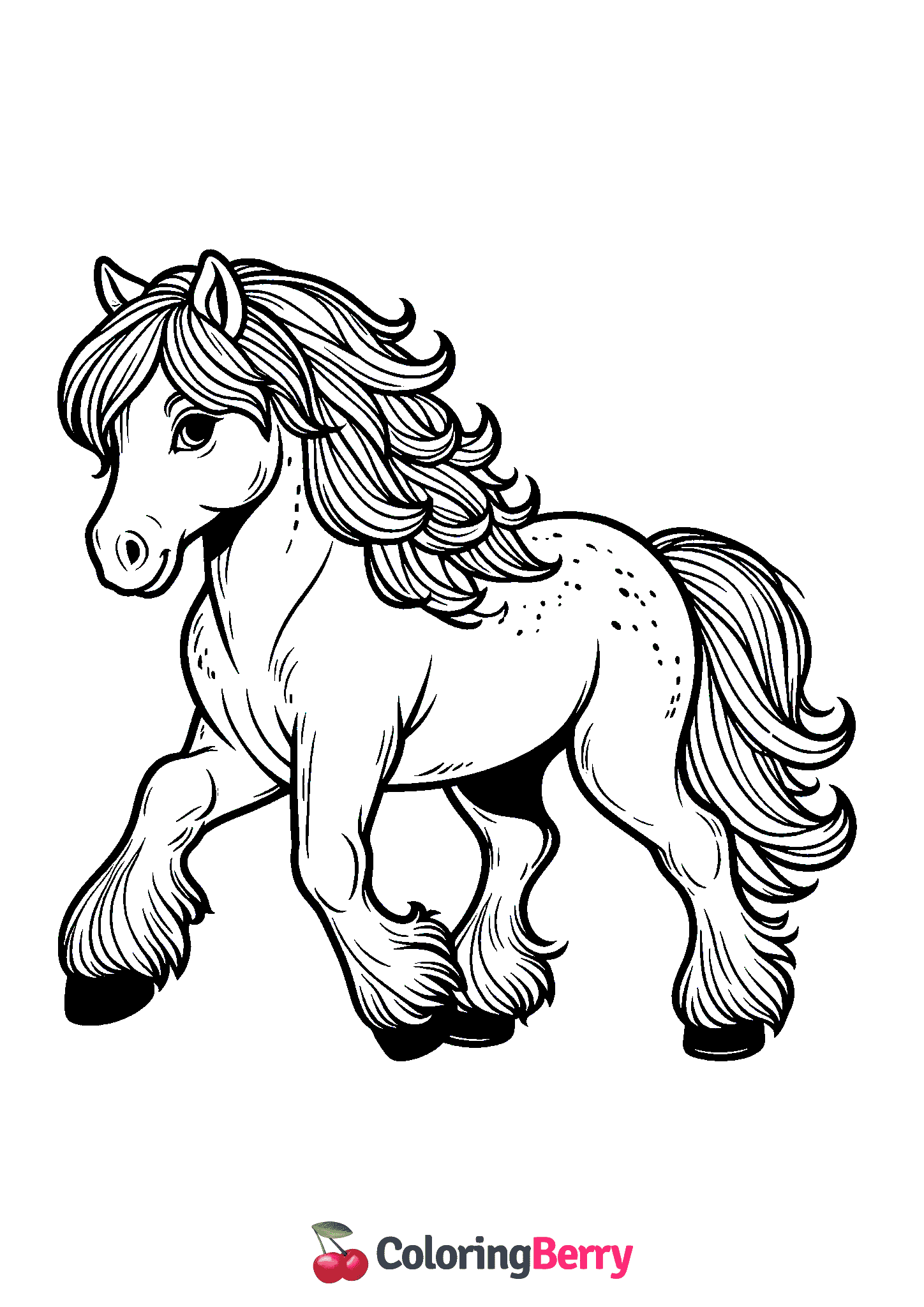 Horse Breed