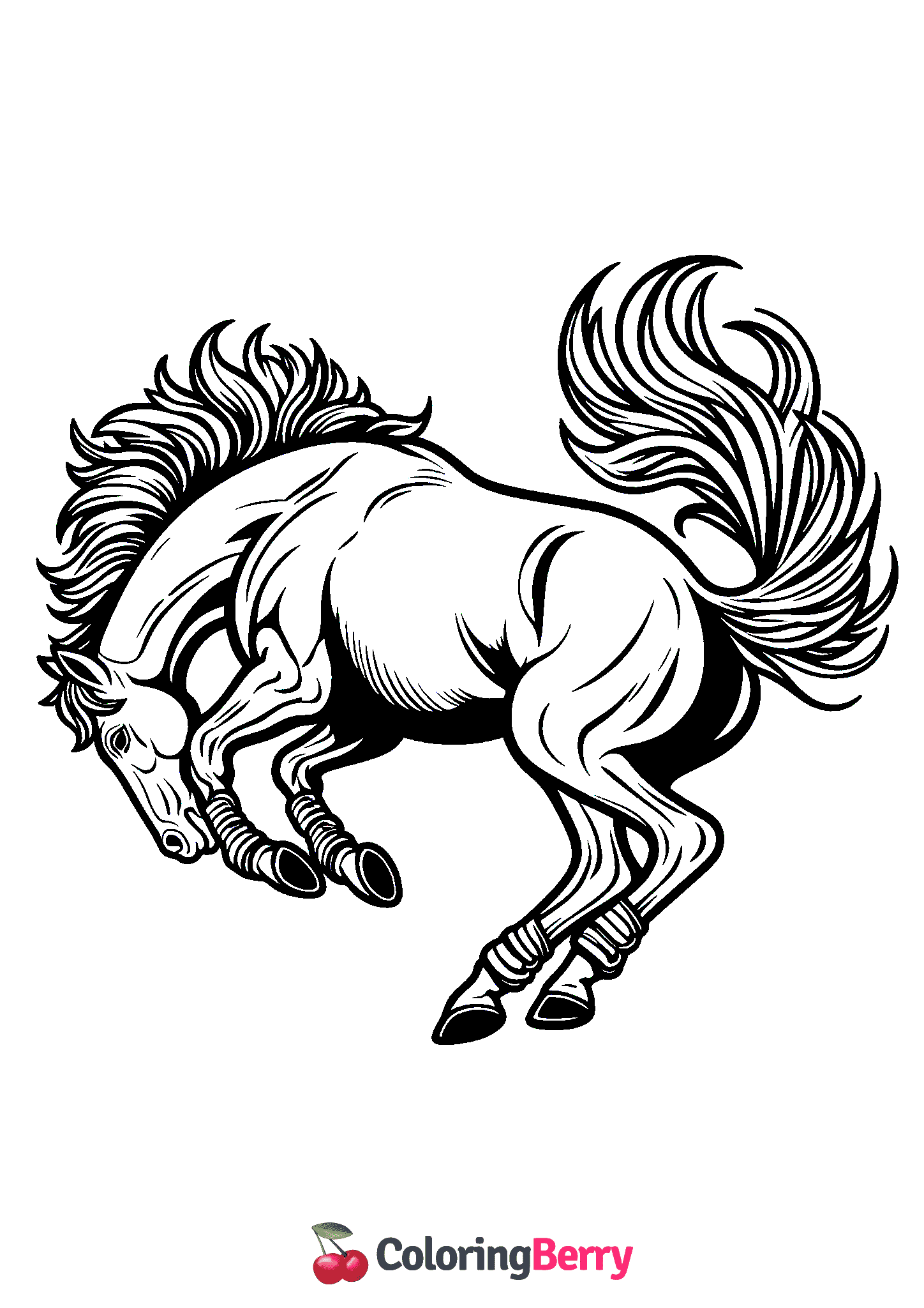 Horse Jumping
