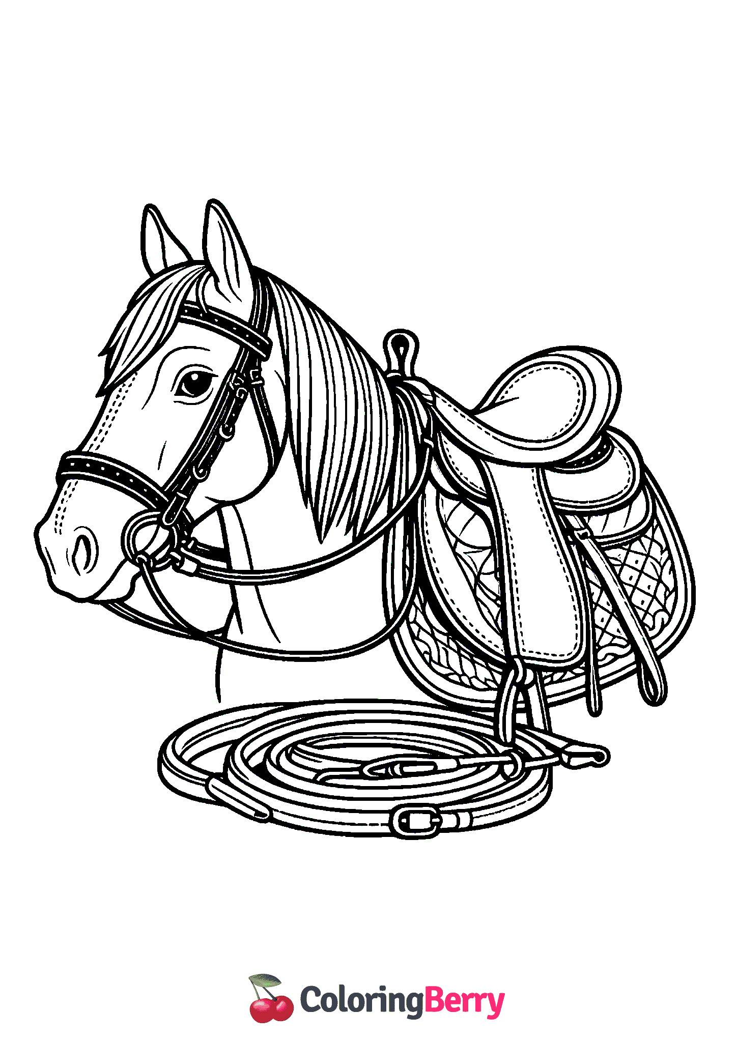 Horse Tack