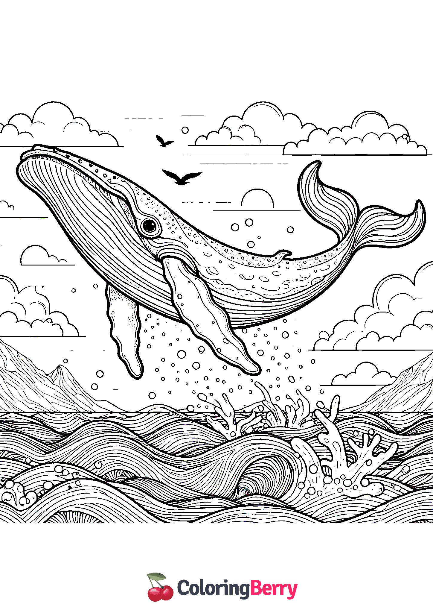 Humpback Whale