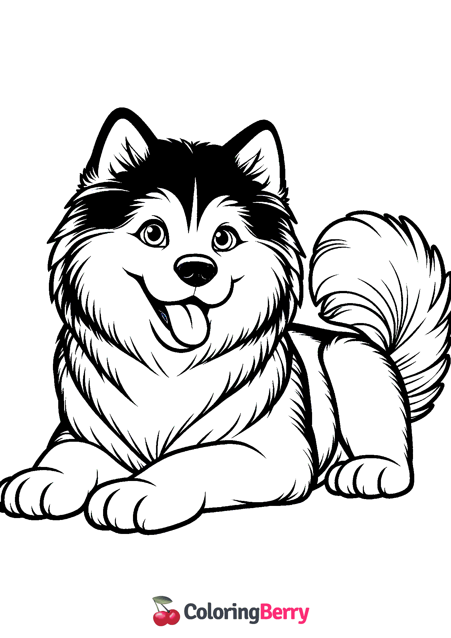 Husky Dog