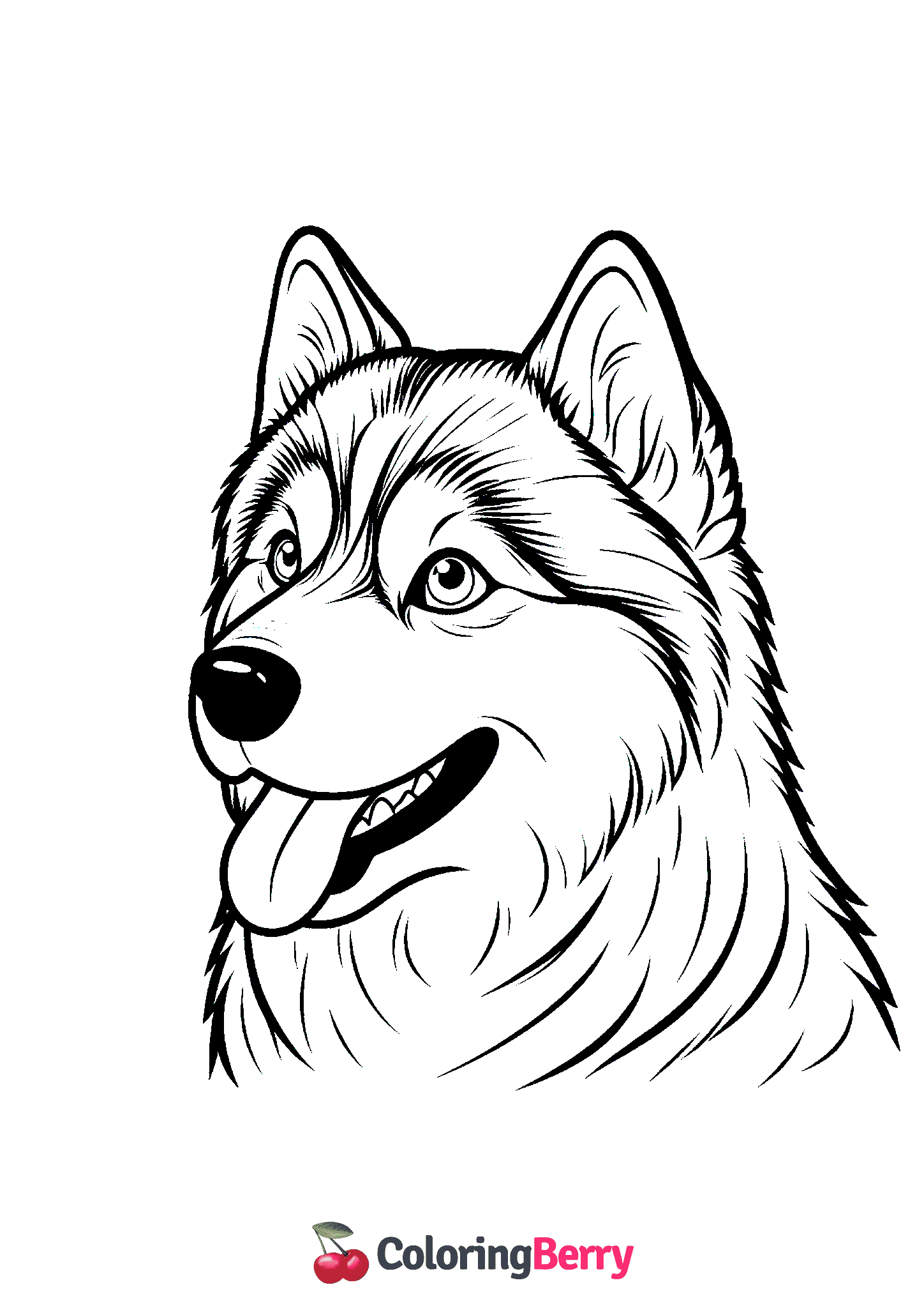 Husky