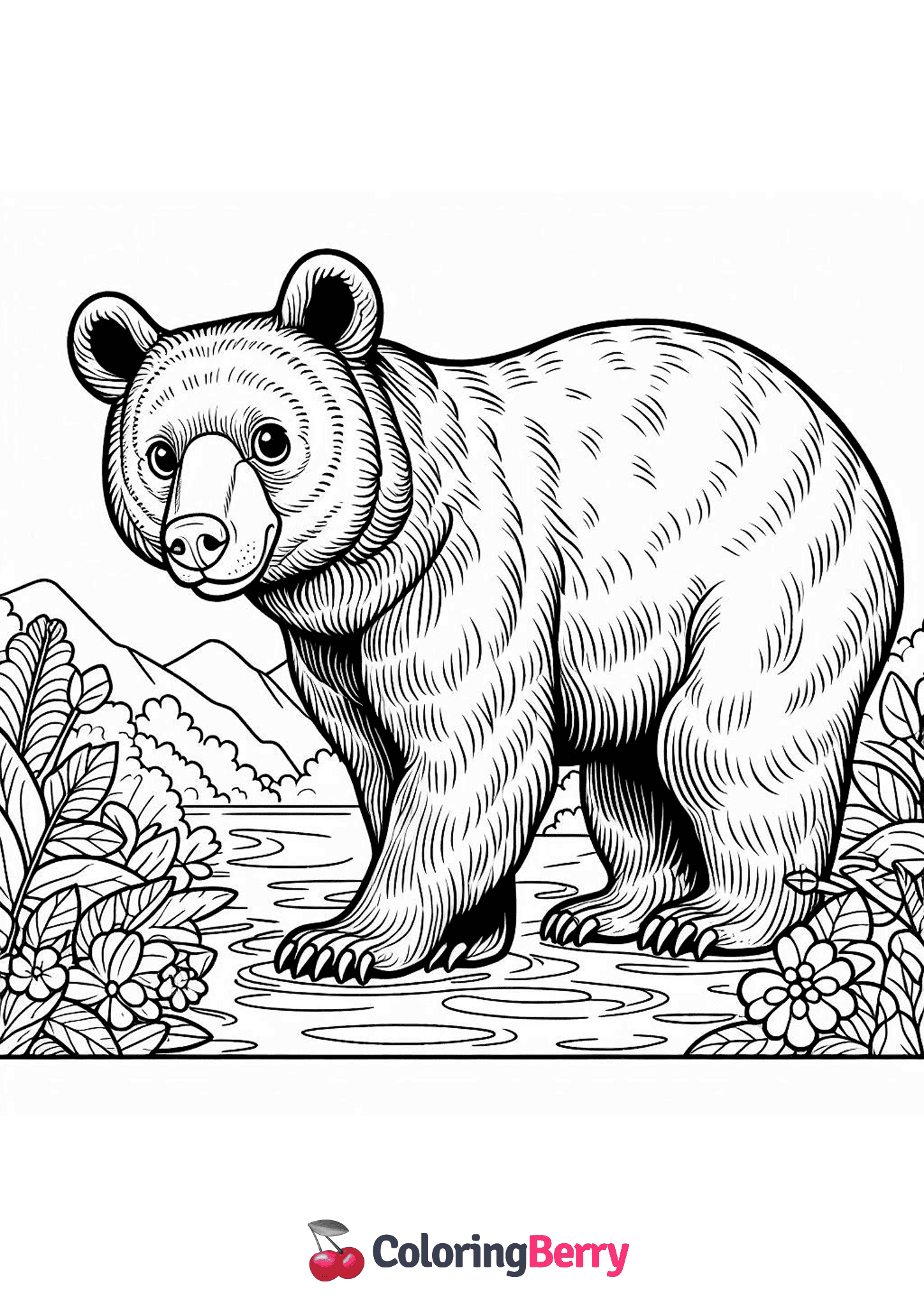 Indian Black Bear