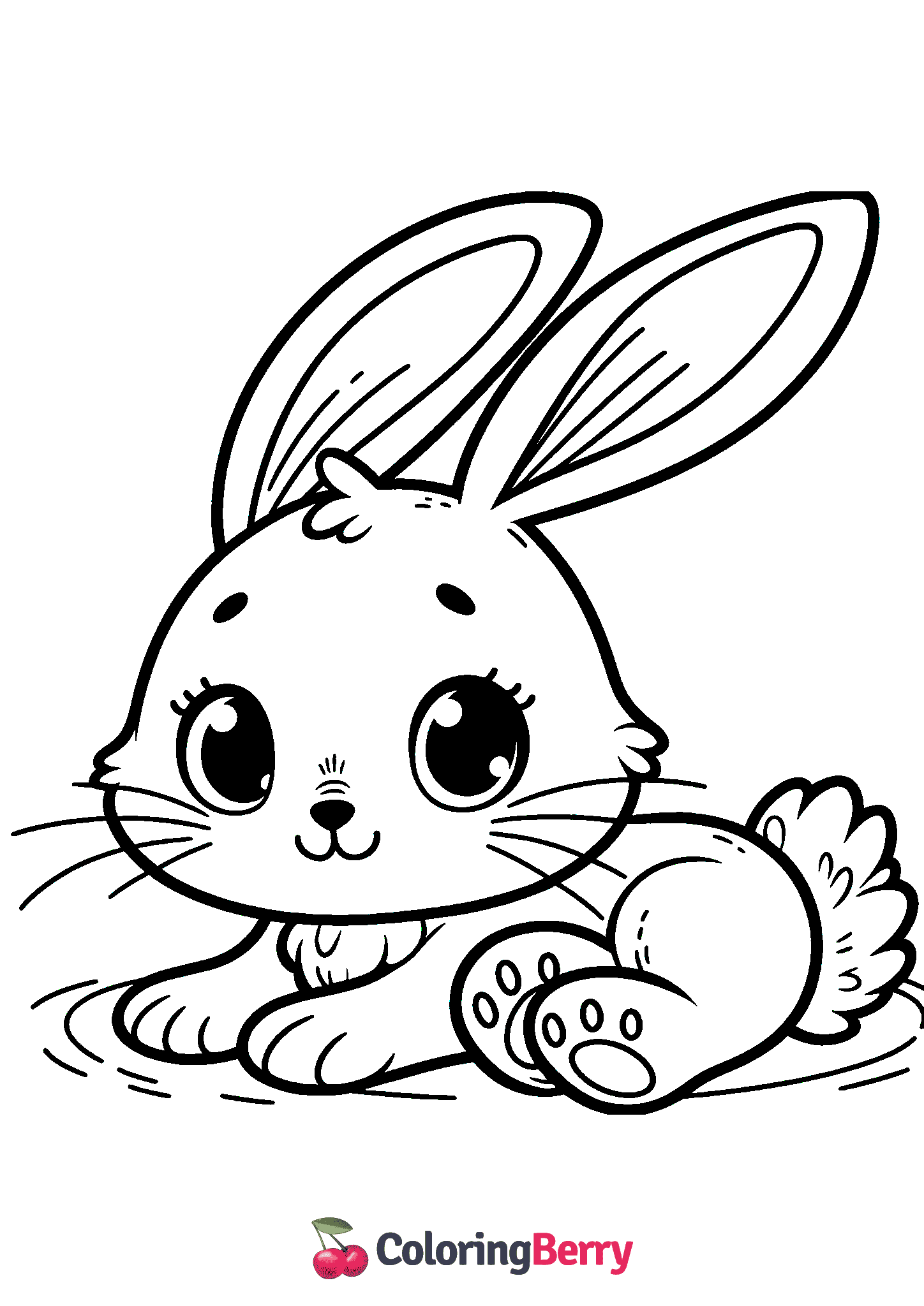 Jack Rabbit