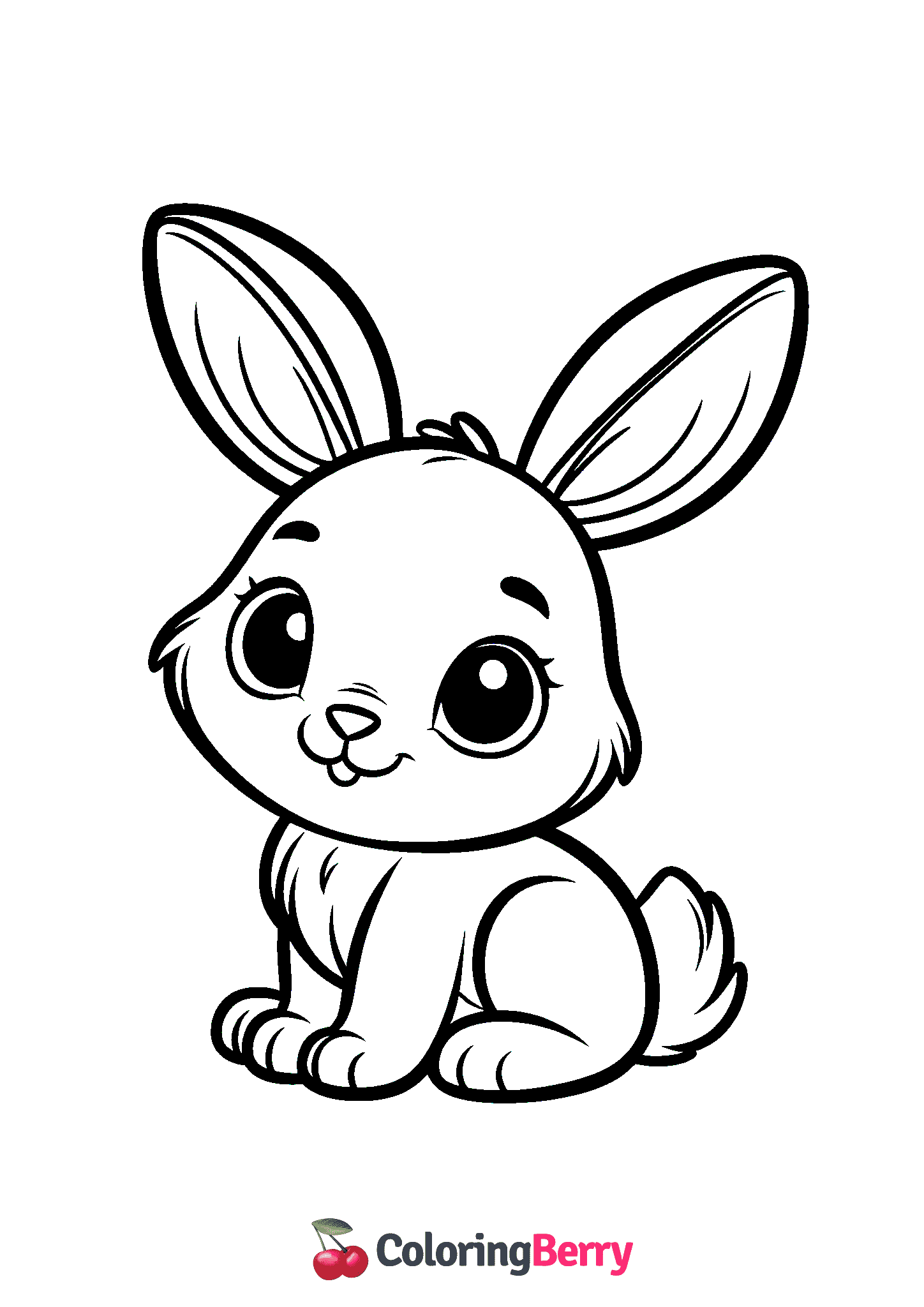 Jackrabbit