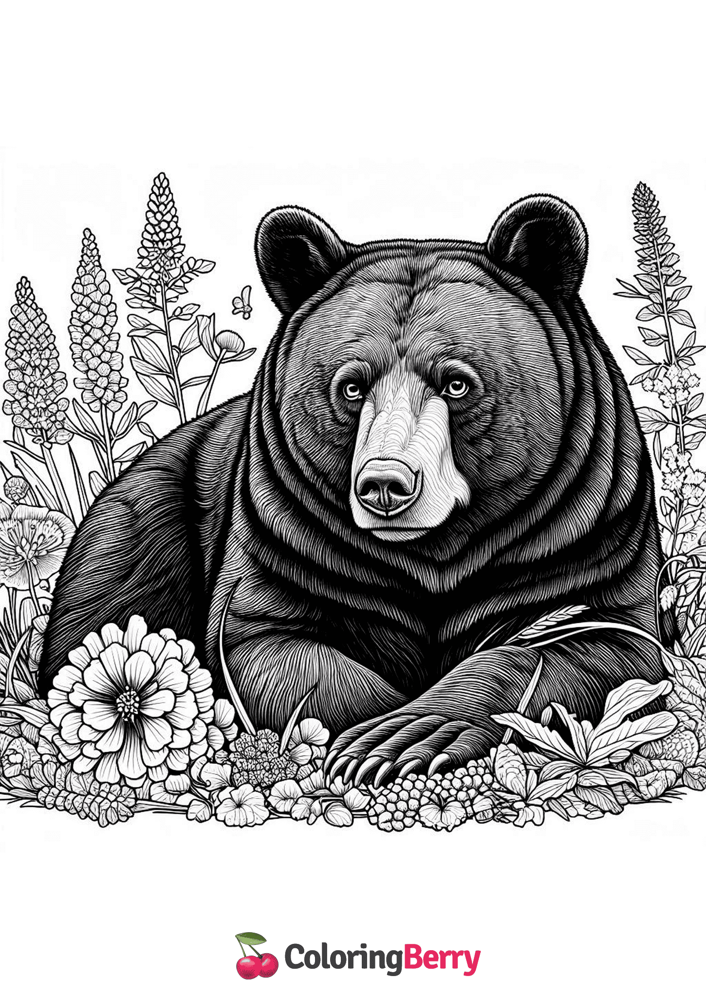 Kermode Bear