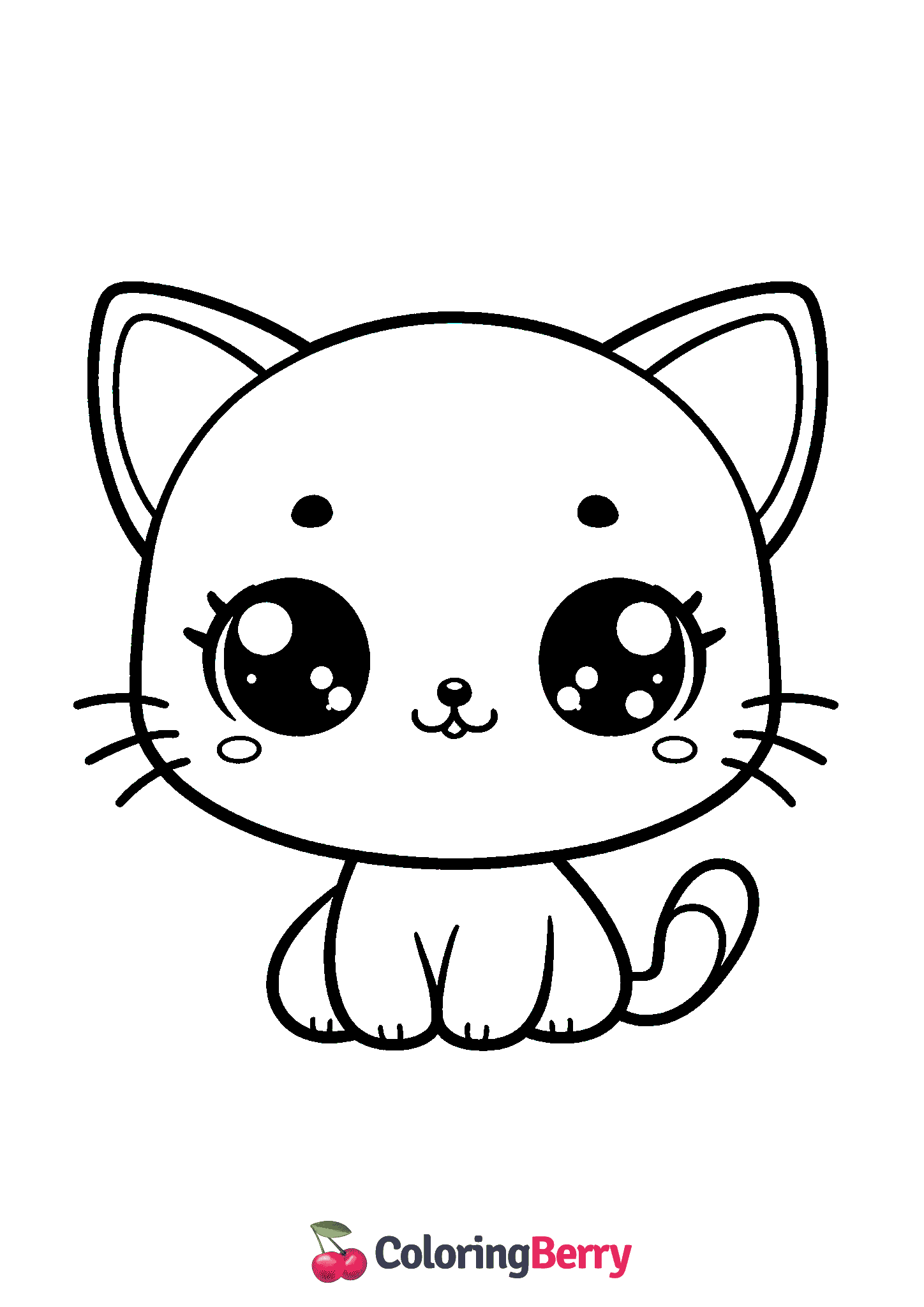 Kitten Cute Cat