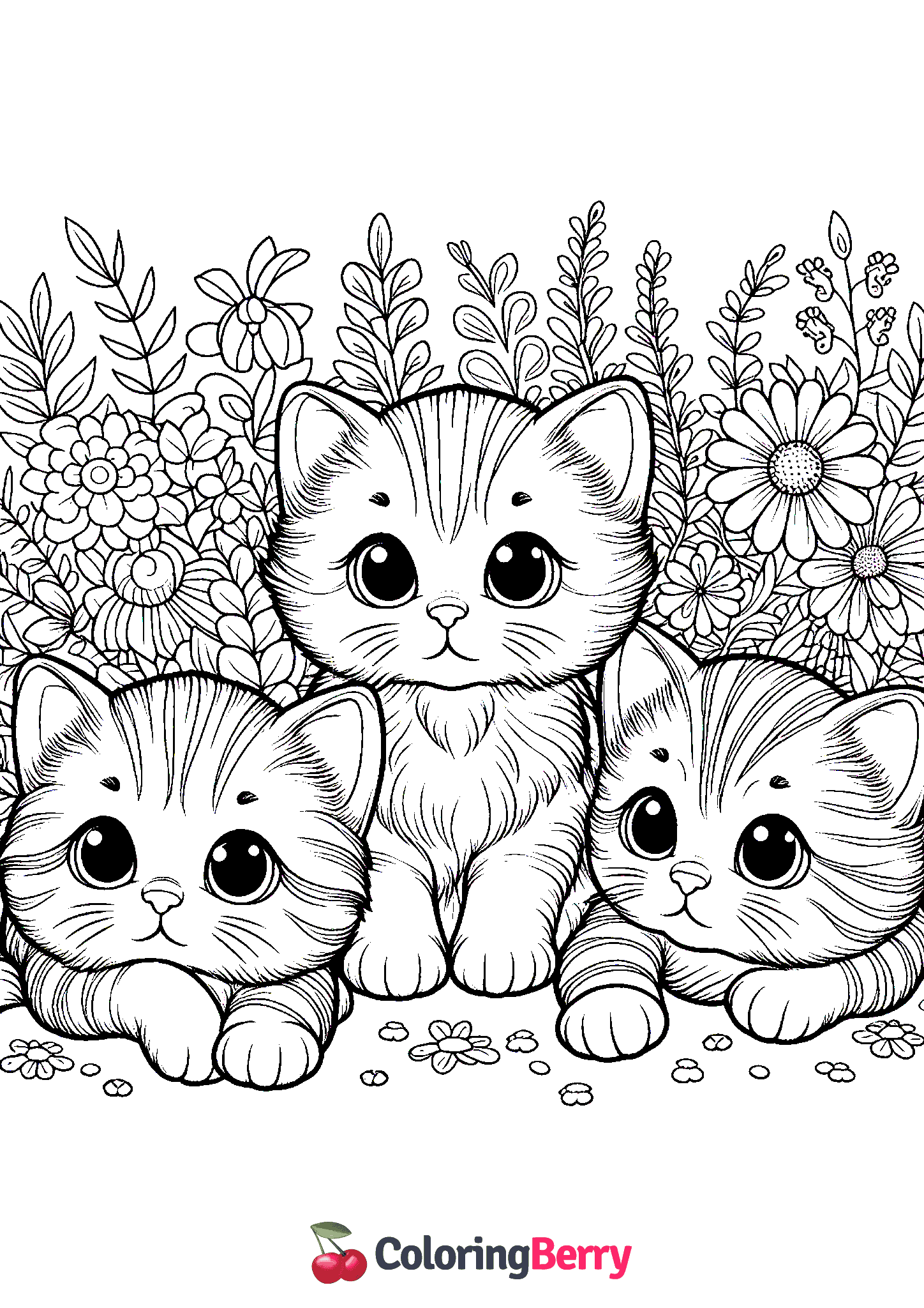 Kittens
