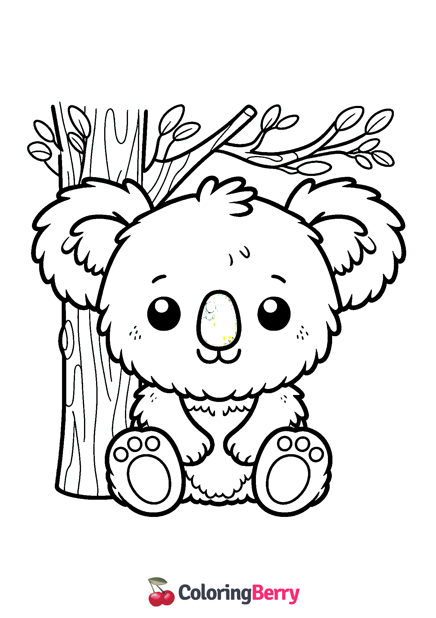 Koala Bear