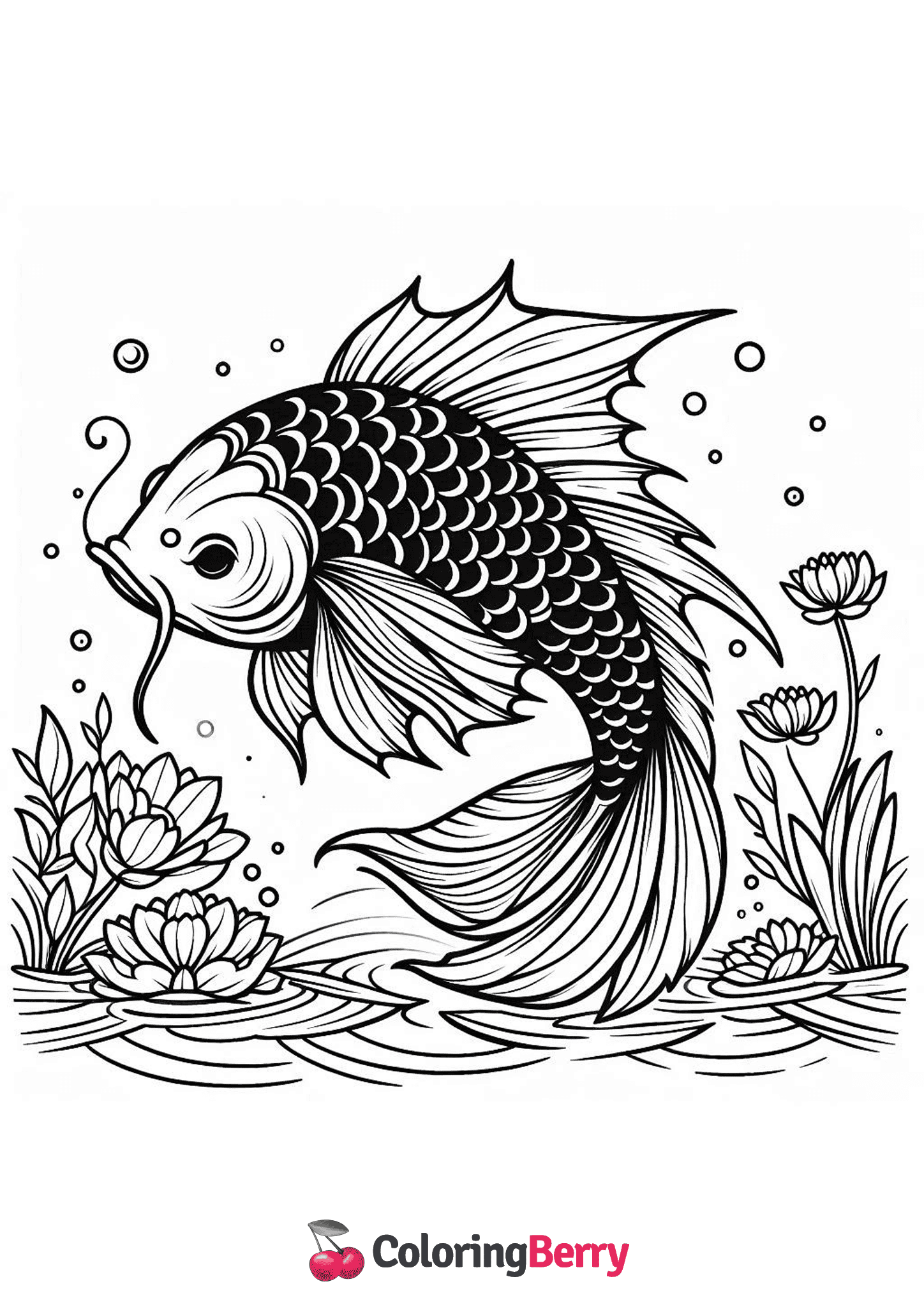 Koi Fish