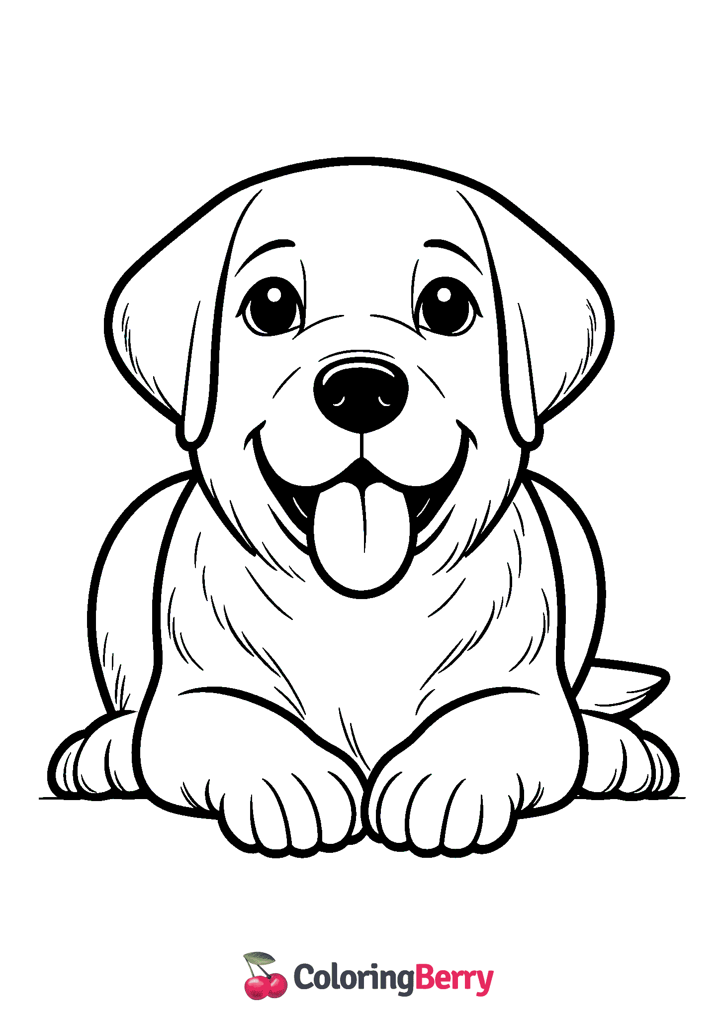 Labrador Dog