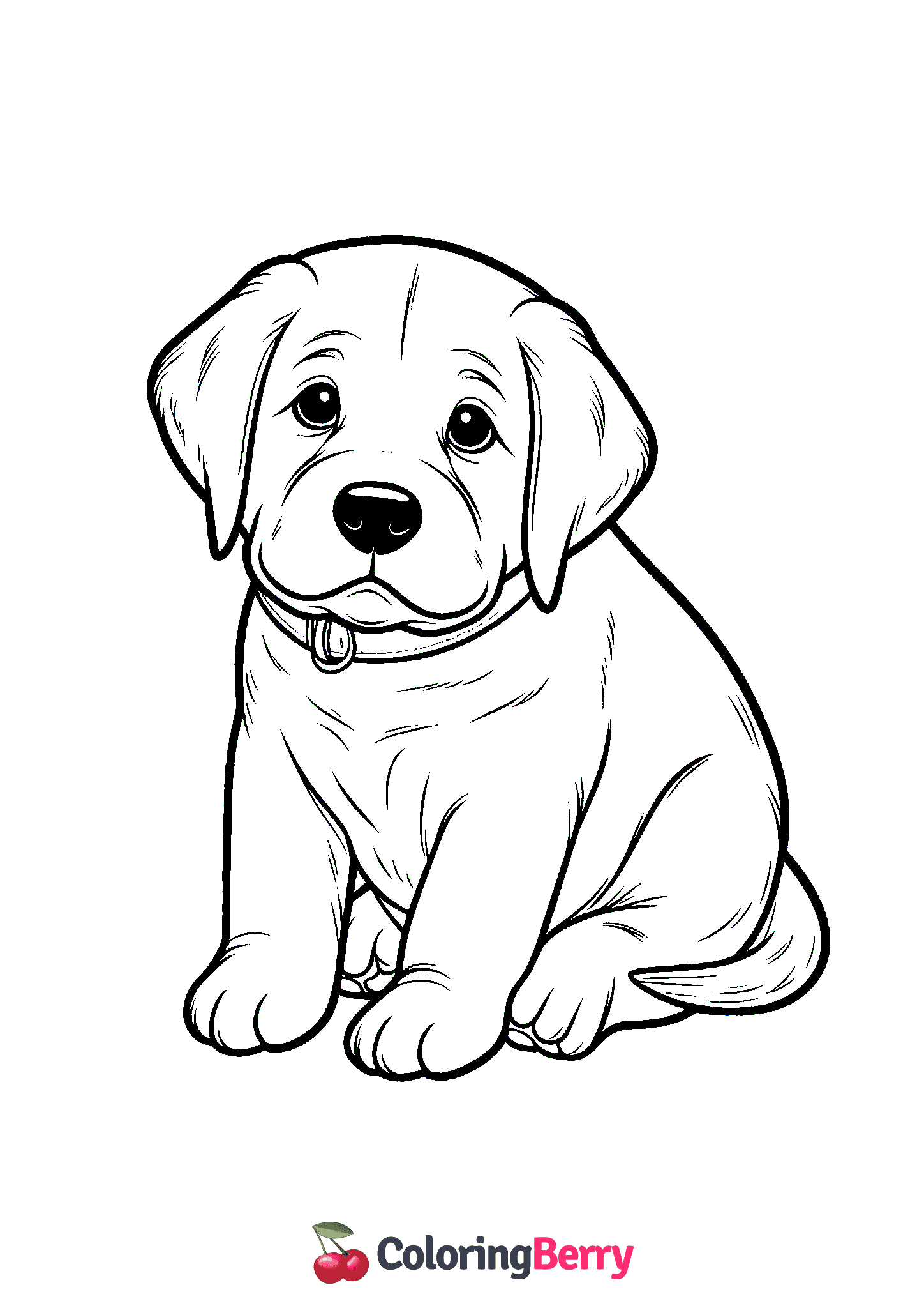 Labrador
