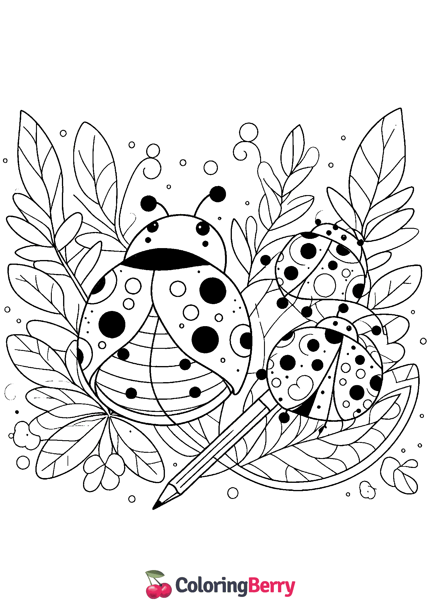 Ladybugs