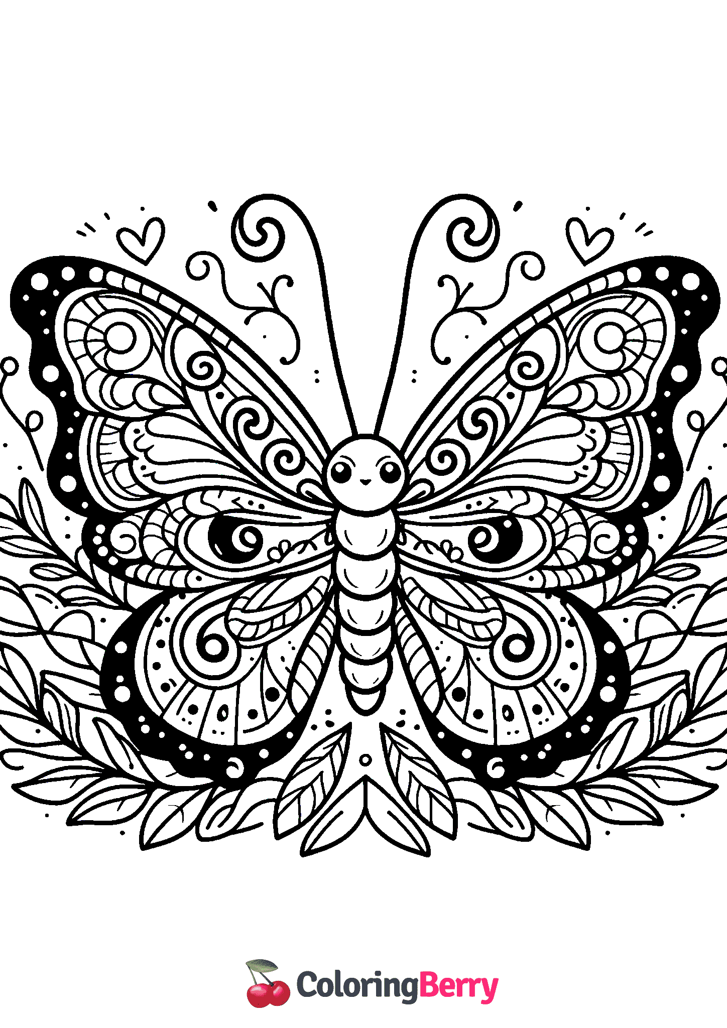 Large Butterfly