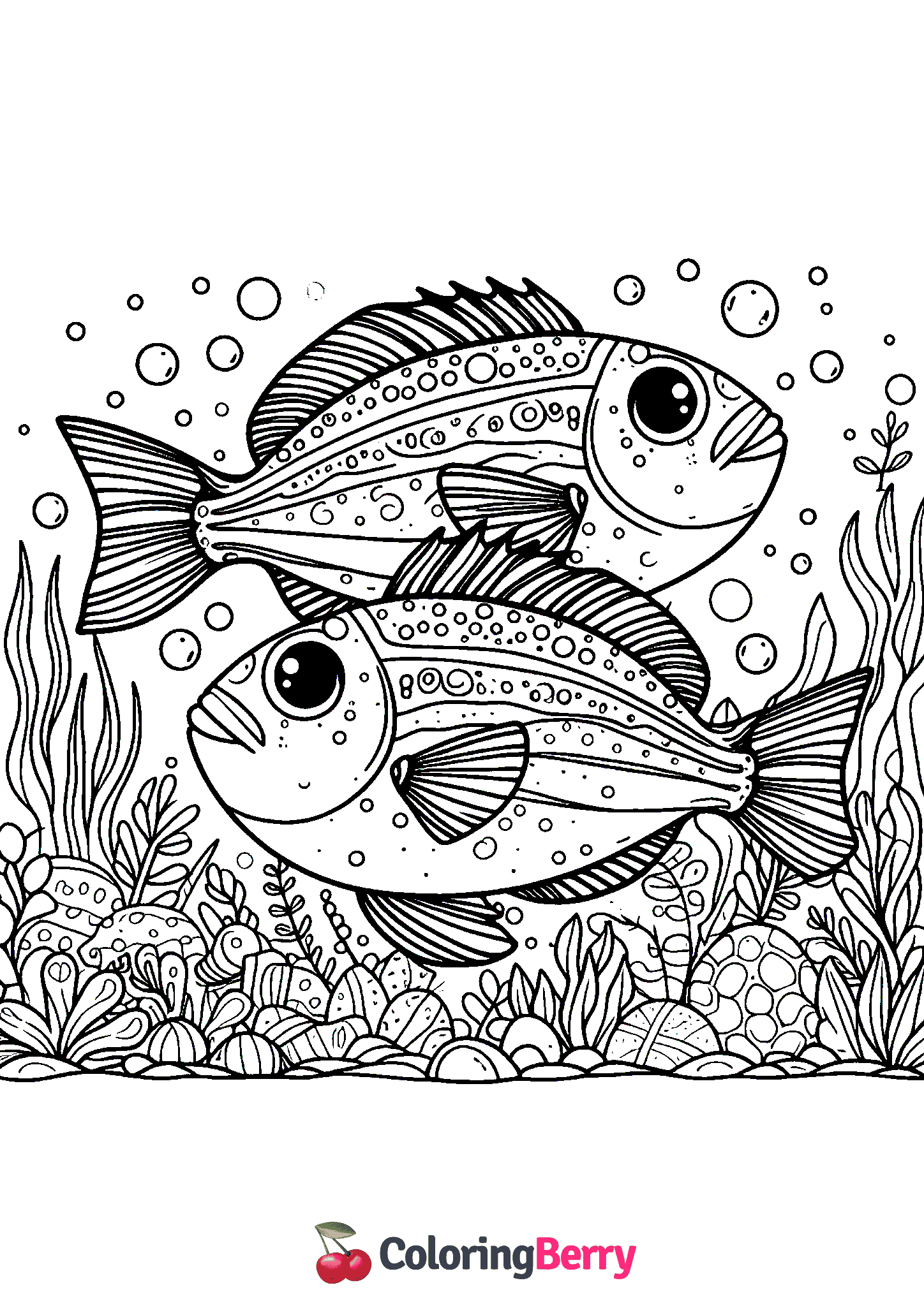 Large Fish