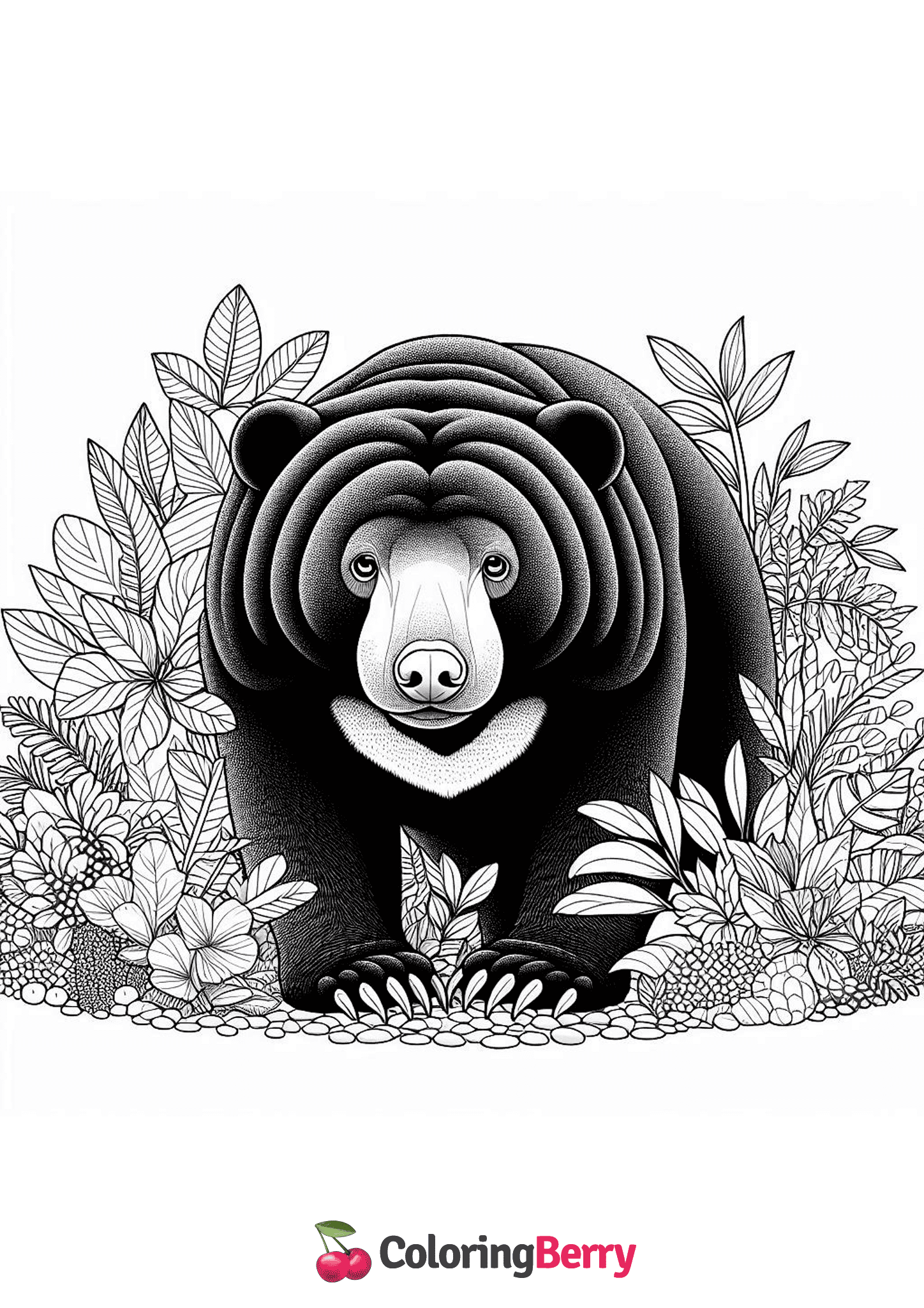 Malayan Sun Bear
